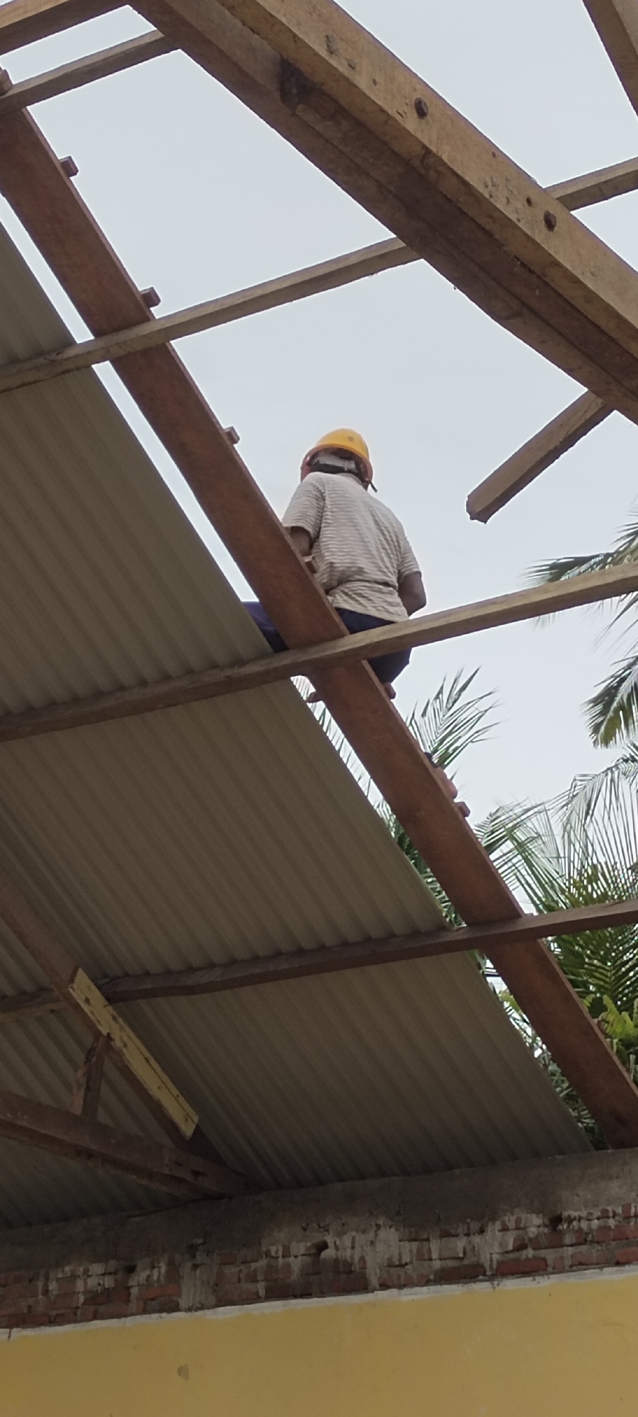 A person wearing a yellow hard hat and striped shirt is perched on wooden beams, presumably working on the roof structure of a building in Langnibong, Indonesia. The roof is corrugated metal and the structure is made of brown wood. Green foliage is visible in the background. The building has exposed brickwork and a yellow painted section. The sky is overcast.