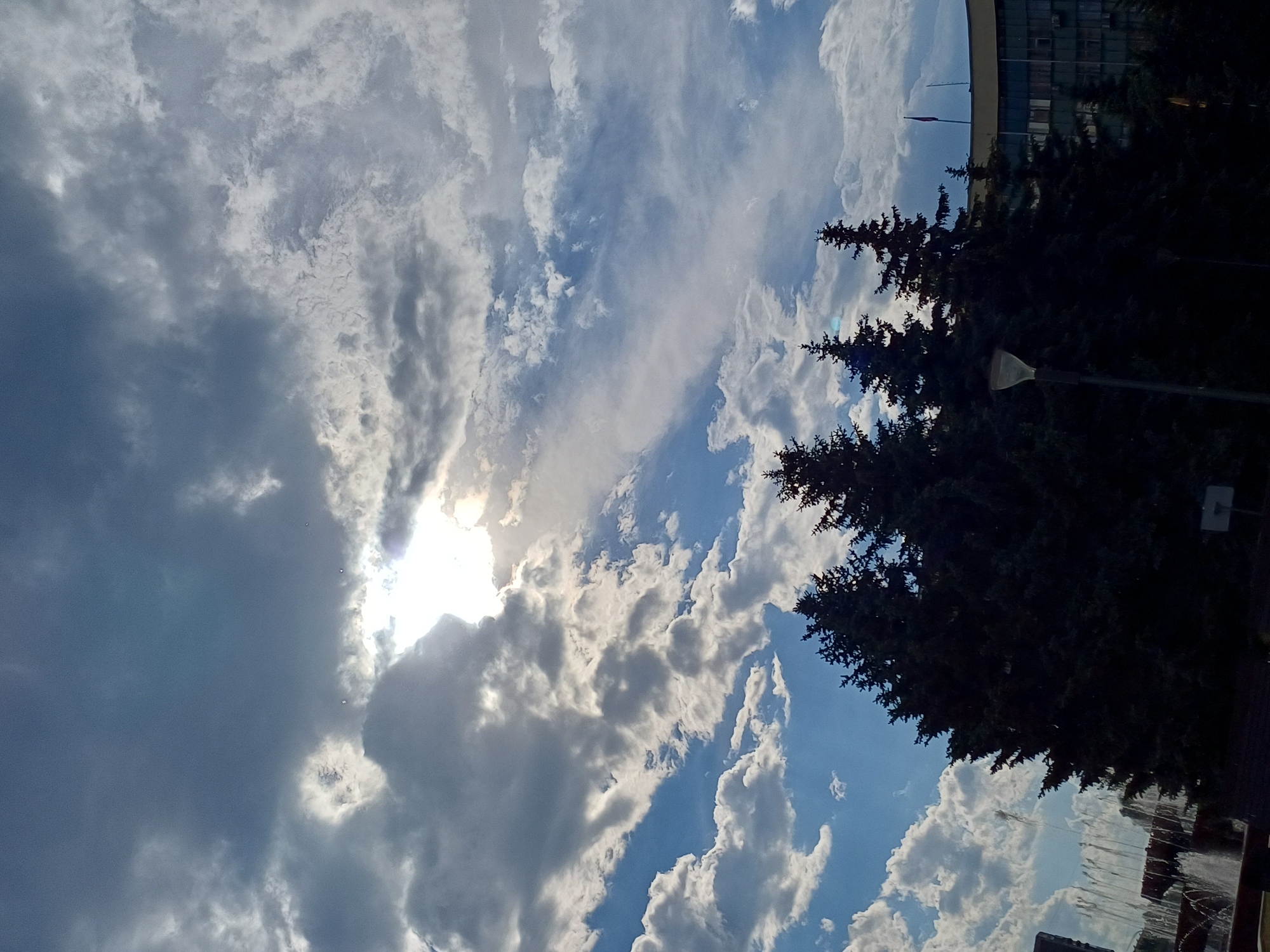 The image captures a dramatic sky over an urban landscape. The sky is filled with a mix of dark, heavy clouds and brighter, wispy ones, with the sun peeking through the former, creating a radiant effect. In the foreground, a dense row of dark green evergreen trees dominates the lower portion of the frame. To the left, a fountain sprays water, partially visible. Behind the trees, a large, modern building with multiple windows and a curved facade is visible, topped with a flag pole. A streetlamp stands among the trees, its silhouette stark against the sky. The overall scene suggests a dynamic interplay between natural elements and urban structures under a powerful sky.