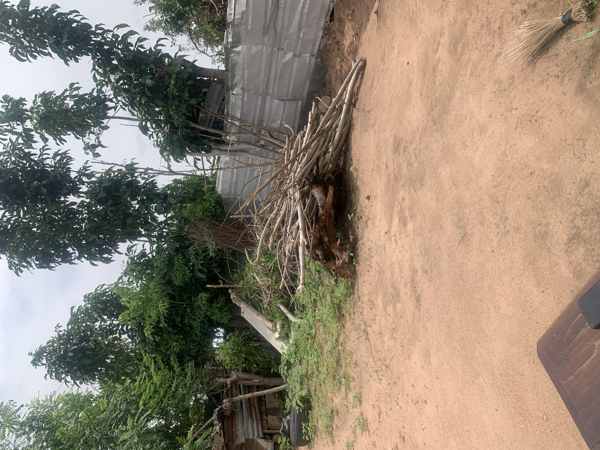The image depicts an outdoor scene in a rural or semi-rural area of Jalingo, Nigeria. The ground is covered in reddish-brown dirt with sparse green vegetation. In the foreground, a portion of a dark wooden table is visible, with a black smartphone resting on it. To the right, a broom made of dried grass is lying on the ground.
The middle ground features a pile of dry branches and logs. Behind the branches, a corrugated metal fence runs horizontally across the image. To the left of the branches, there is more greenery and some debris, including a black tire and what appears to be parts of a makeshift shelter constructed from corrugated metal and wood.
The background is dominated by lush green trees with dense foliage. The sky is overcast with a muted, cloudy appearance. The overall impression is one of a somewhat unkempt, utilitarian outdoor space.
