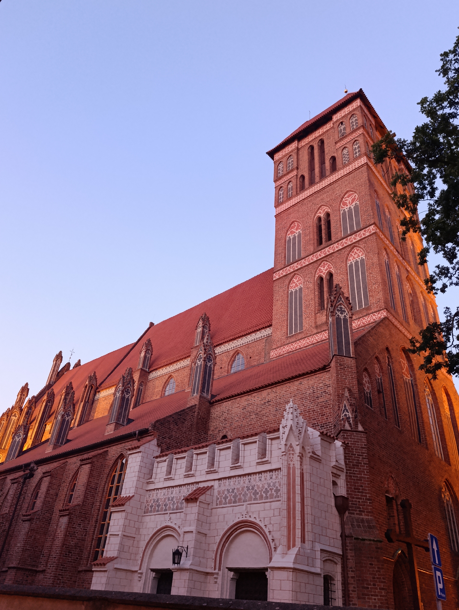 The image captures the St. John's Archcathedral in Toruń, Poland, at dusk. The cathedral is constructed primarily of red brick and features a prominent tall tower with numerous arched windows and decorative brickwork. The roof is tiled in a reddish-brown hue. Part of a large tree with dark green foliage is visible on the right side of the frame, partially obscuring the upper sections of the tower. The sky above is a clear, soft gradient of light blue and pink, indicating the twilight hour. In the foreground, a white stone structure with arched entrances and decorative patterns is attached to the main brick building. A dark lantern hangs from this structure. A dark wall runs along the very bottom of the image. A blue sign with white arrows and a parking symbol is visible on the right side of the image, near the base of the cathedral. No people are present in the scene. The lighting suggests the warm glow of artificial lights illuminating sections of the cathedral, particularly around the tower and along its side.