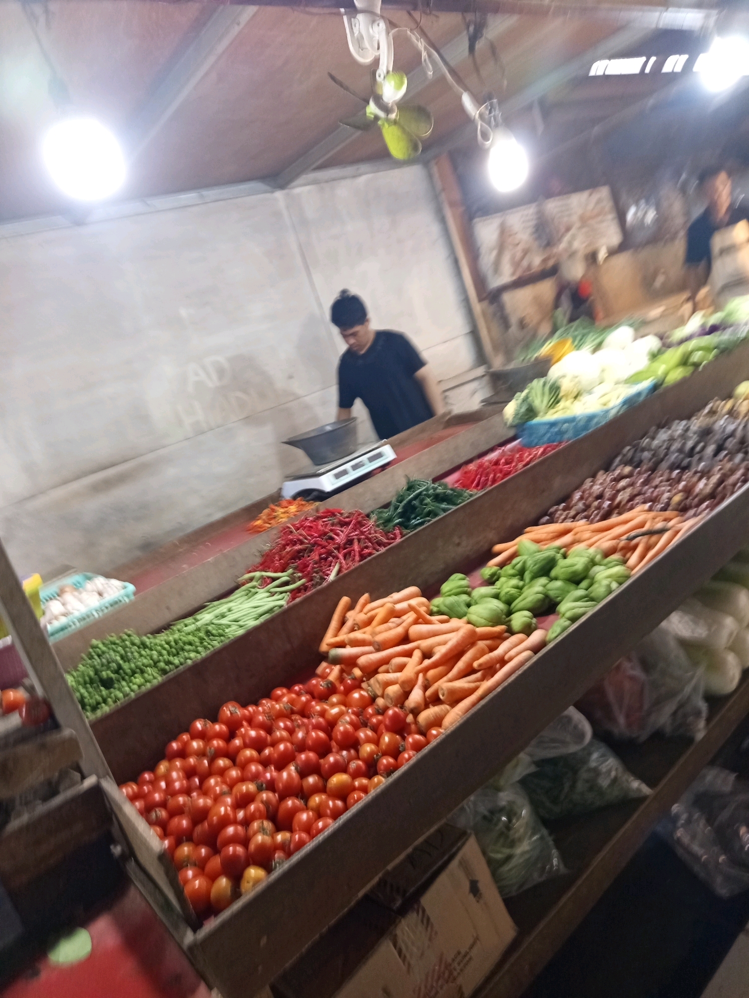 This is a medium-angle, slightly blurry, indoor shot of a vegetable stall in Karawang, Indonesia. In the foreground, on the bottom shelf, a large quantity of red tomatoes is displayed in a wooden bin. To the left of the tomatoes, a shelf holds green peas and further left, a blue plastic crate contains white vegetables, possibly mushrooms. Moving up, the next shelf displays long green beans, followed by red chilies and other assorted colorful peppers. Above these, a shelf holds brown, dried goods, potentially nuts or beans, and more green vegetables. The background is dominated by a white, textured wall with some faint writing. A ceiling fan with green blades is visible towards the top, along with exposed light bulbs. A man in a dark t-shirt is partially visible behind the vegetables, appearing to be working at the stall. Another person in a dark t-shirt is seen in the upper right background, with blurry details. The overall impression is a busy, somewhat cluttered, local market stall.