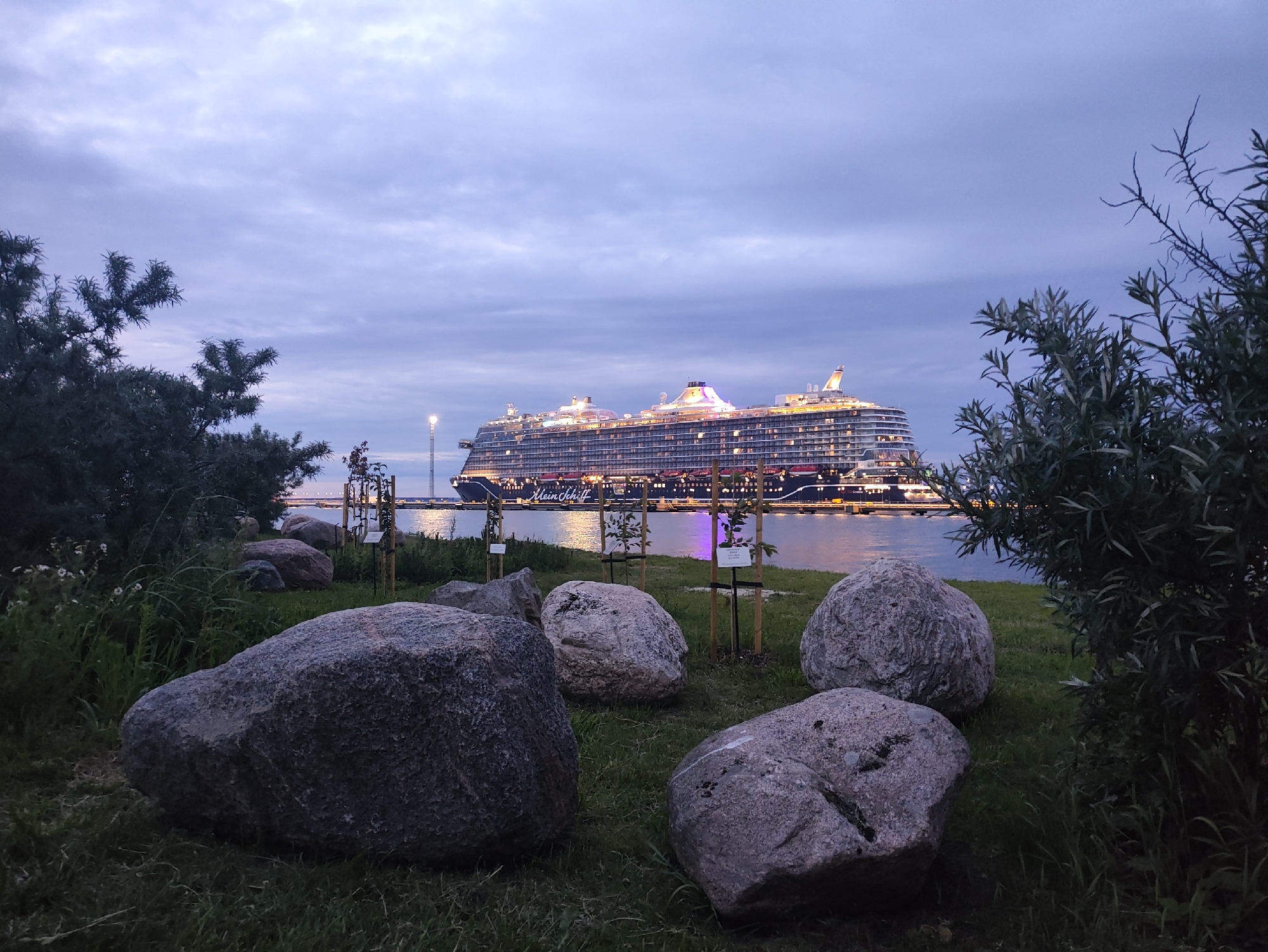 This image depicts a cruise ship docked at a harbor, likely in Tallinn, Estonia. The scene is set at dusk, with a cloudy sky casting a soft, diffused light. In the foreground, several large, rounded rocks are scattered across a grassy area. Behind the rocks, young trees in planters are visible, along with some foliage and wildflowers. The cruise ship, illuminated with numerous lights, is the dominant object in the background, occupying the water and docked at the pier. The ship is dark blue with a prominent white band and lettering. The words "Mein Schiff" are clearly visible on the side of the ship. A tall light post stands near the ship, and the water reflects the ship's lights. The overall mood is calm and serene, suggesting a quiet evening by the water. The time of day, indicated by the twilight sky, is early evening.