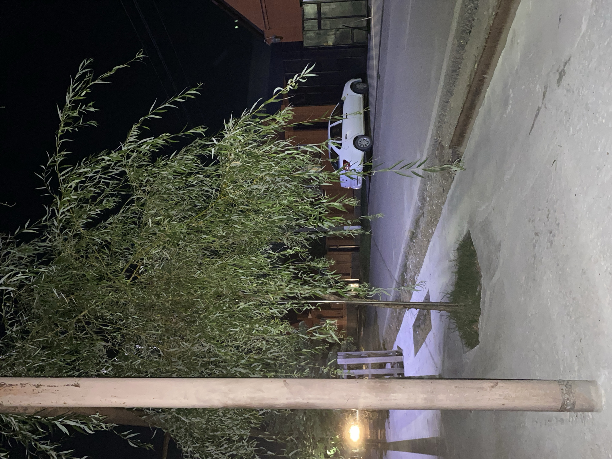 The image depicts a nighttime street scene in Alkhan-Kala, Russia. A light-colored sedan is parked on the asphalt road next to a building with a dark gate and a reddish-brown facade. In the foreground, a large weeping willow tree with long, slender leaves dominates the left side of the frame. A thick, weathered utility pole stands next to the tree. A sidewalk made of concrete runs along the road, and a patch of grass is visible around the base of the tree. A warm, yellow light emanates from a street lamp on the far left, illuminating a portion of the sidewalk. The background is dark, suggesting the absence of bright ambient light sources other than the artificial illumination.