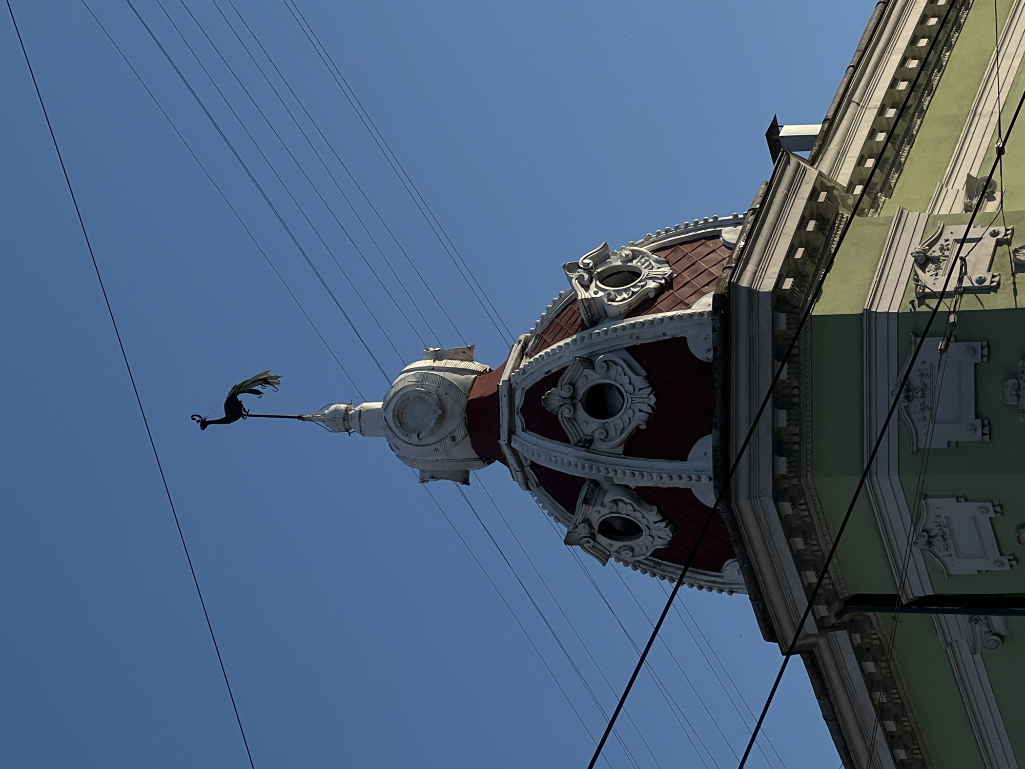 The image shows the top of a building with a dome in Ternopil, Ukraine. A black weathervane in the shape of a bird, possibly a peacock, is perched atop the dome. The dome is red with white decorative elements, and the building's facade is light green with white ornate moldings. Several utility wires crisscross the sky in the background. The sky is clear and blue.