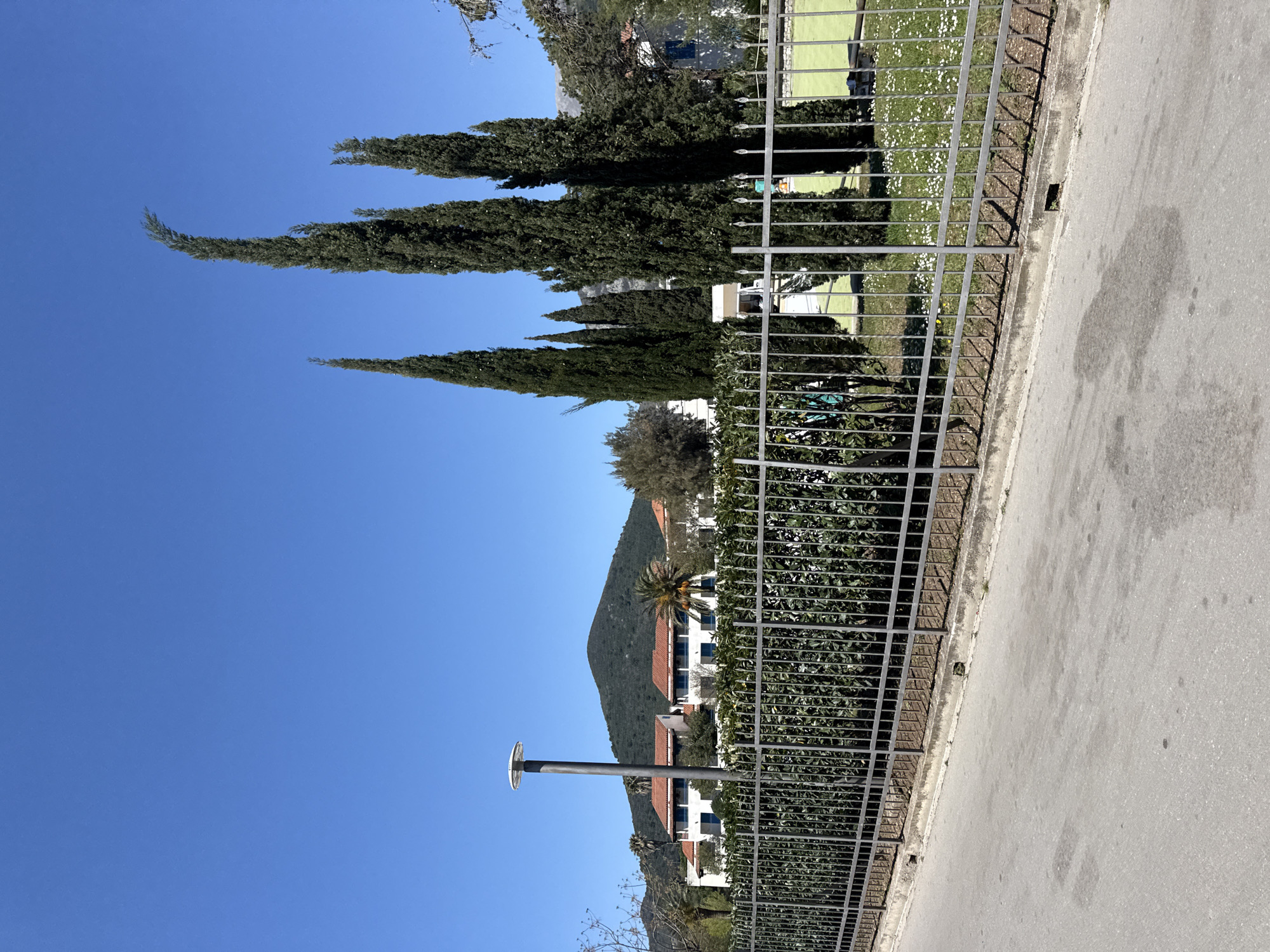 The image shows an outdoor scene on a sunny day. A metal fence runs along the right side of the image, bordering a gray asphalt road. Behind the fence, there is a hedge and trees, with a few buildings visible in the background. A mountain rises up in the distance. Tall, thin trees are also visible against the clear blue sky. A lamppost stands near the fence. The location seems to be near a residential area or a park. There are no people visible in the image.