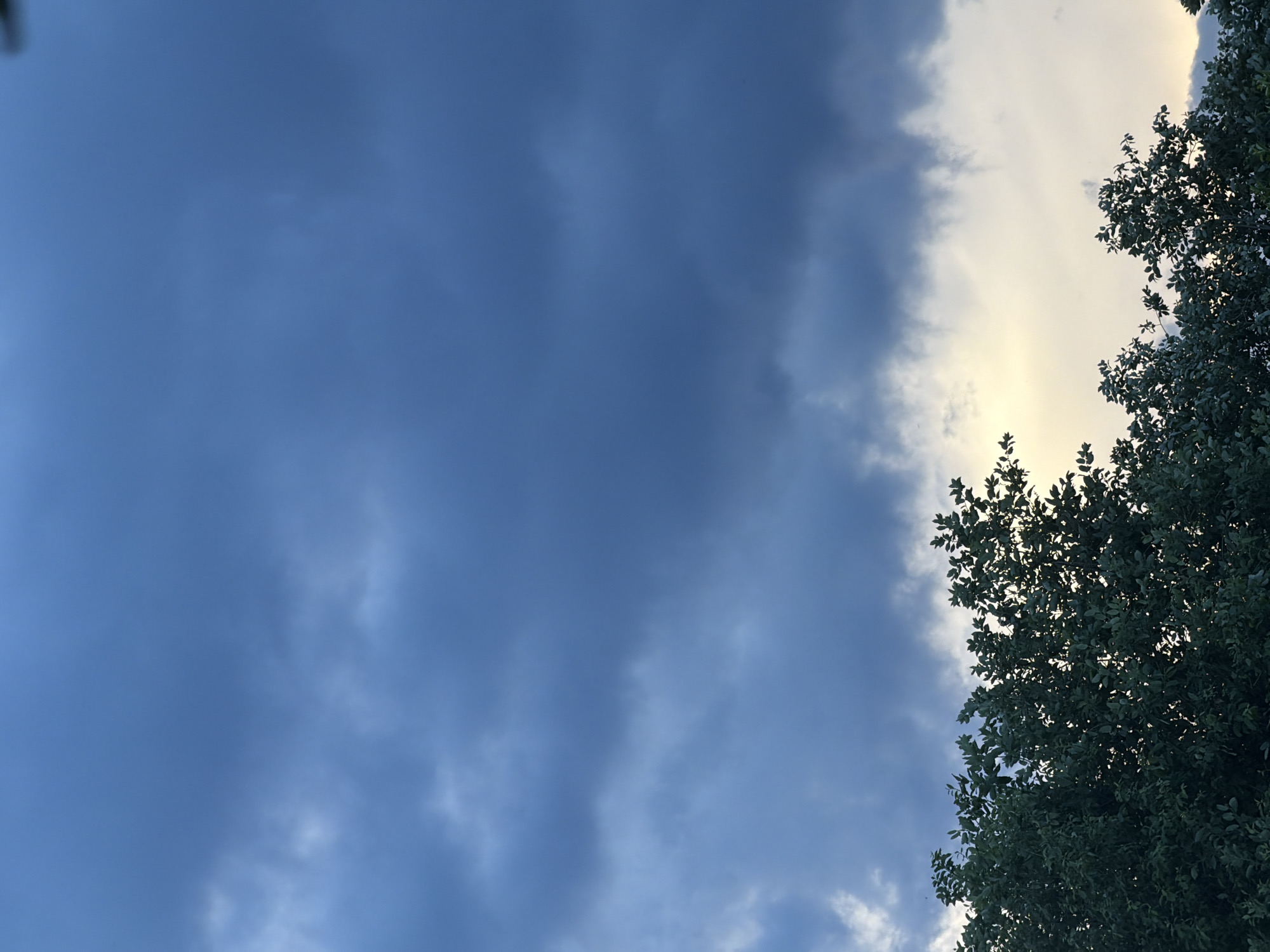 The image displays a view of dark, heavy clouds filling the upper portion of the frame. Below the clouds, a sliver of pale yellow sky is visible, suggesting either dawn or dusk. Silhouetted against this lighter sky are the tops of dense green trees, their leaves forming a textured line across the bottom of the image. The scene appears to be set in an outdoor environment, potentially a park or a suburban area within the city of Petukhi, Russia, given the context provided. There are no people, animals, or specific structures identifiable in the image. The overall impression is one of impending weather change or the transition of daylight.