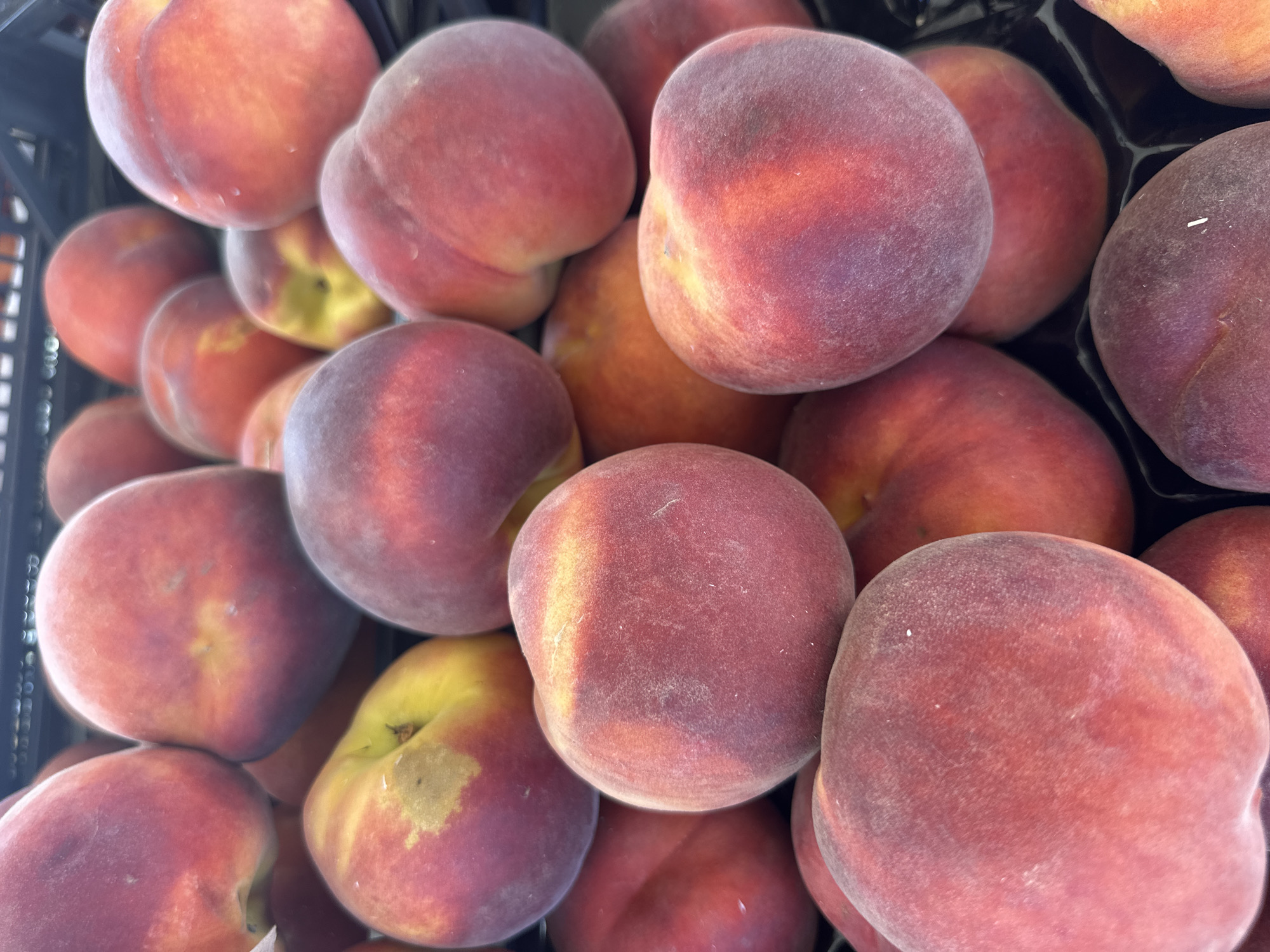 A close-up, overhead shot displays a large pile of ripe peaches. The peaches exhibit a gradient of colors, ranging from deep red and purple to soft yellow and orange. Some of the peaches have a fuzzy texture, while others appear smoother. They are packed tightly together, suggesting they are being sold at a market or grocery store. The background is out of focus, but it appears to be a black plastic container or crate. There are no people or identifiable landmarks present in the image. The lighting is bright, highlighting the vibrant colors of the fruit. The scene is devoid of any specific indicators of location within Santu Idu/San Vito, Italy, or any other city.