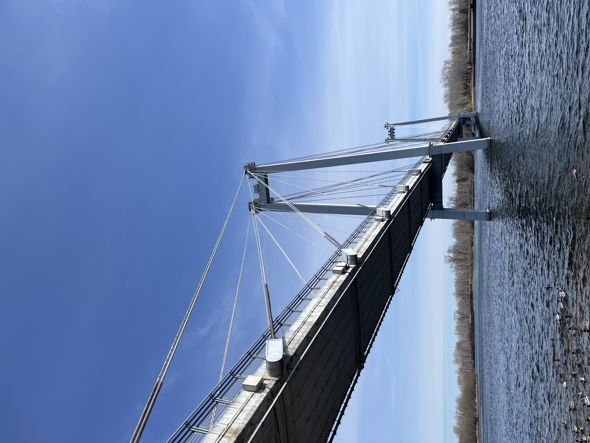 A suspension bridge spans a body of water in Krasnoyarsk, Russia. The water reflects the blue sky and is dotted with ducks. The bridge is light gray and anchored by tall towers, with trees lining the bank in the background.