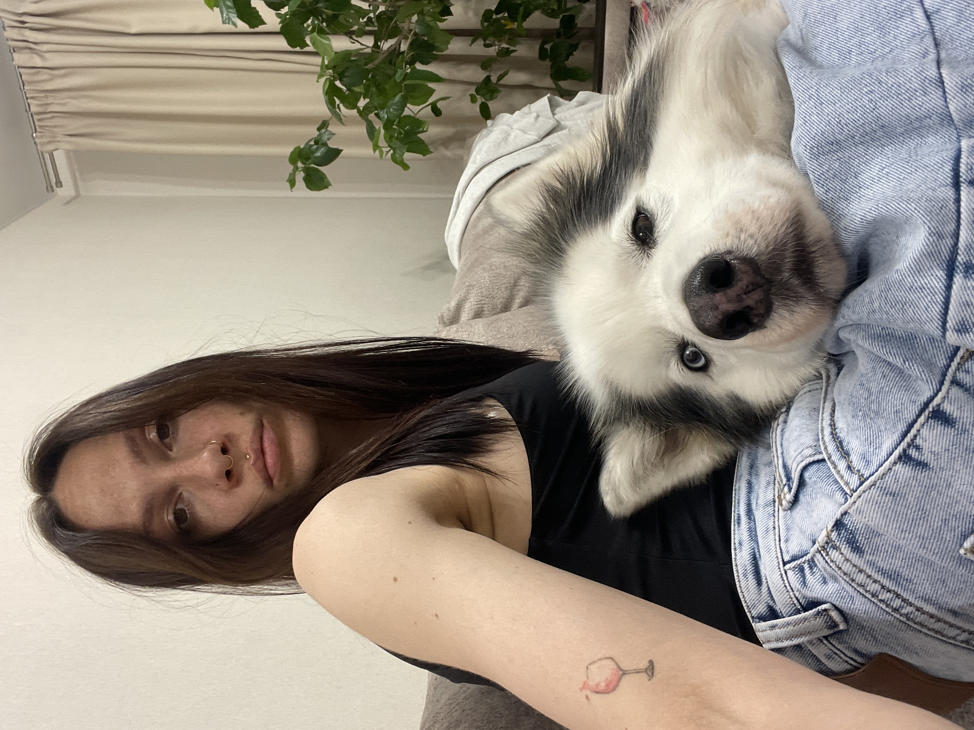 A woman is lying down with a white and gray Siberian Husky dog on top of her. The woman has brown hair and light skin. She is wearing a black tank top and denim jacket. The dog's head rests on the woman's chest. A tattoo of a wine glass is visible on the woman's arm. A plant is behind the woman. The scene is inside a home. There is no indication of a location in Pervomaysky, Russia.