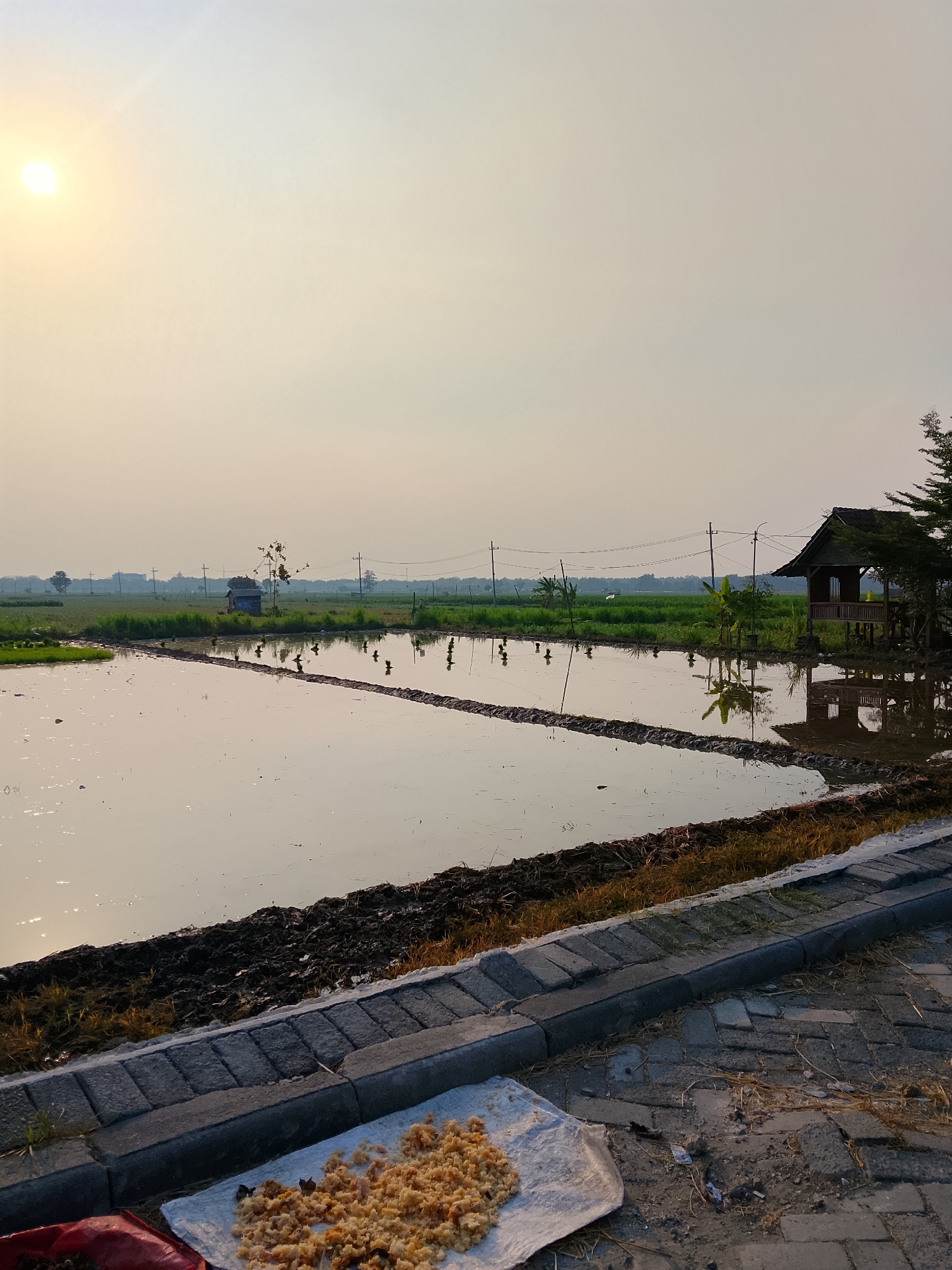 The image depicts a paddy field at dusk in Ngadrin, Indonesia. The sun, low in the sky, casts a soft, warm glow across the scene. In the foreground, a paved walkway borders the field, with a white cloth spread on the ground containing a pile of yellowish, granular material, possibly food scraps or grain. The paddy field itself is divided into sections by narrow earthen embankments. One section is filled with shallow water, reflecting the sky and scattered objects. Another section is tilled earth, with dark soil visible. In the mid-ground, a small, rustic wooden hut with a thatched roof stands on stilts near the edge of the field, surrounded by vegetation. Beyond the field, a line of utility poles and wires stretches across the horizon, marking the transition to a green agricultural landscape with some distant buildings. The overall atmosphere is serene and rural, capturing the peaceful ambiance of a rural Indonesian landscape at the end of the day.