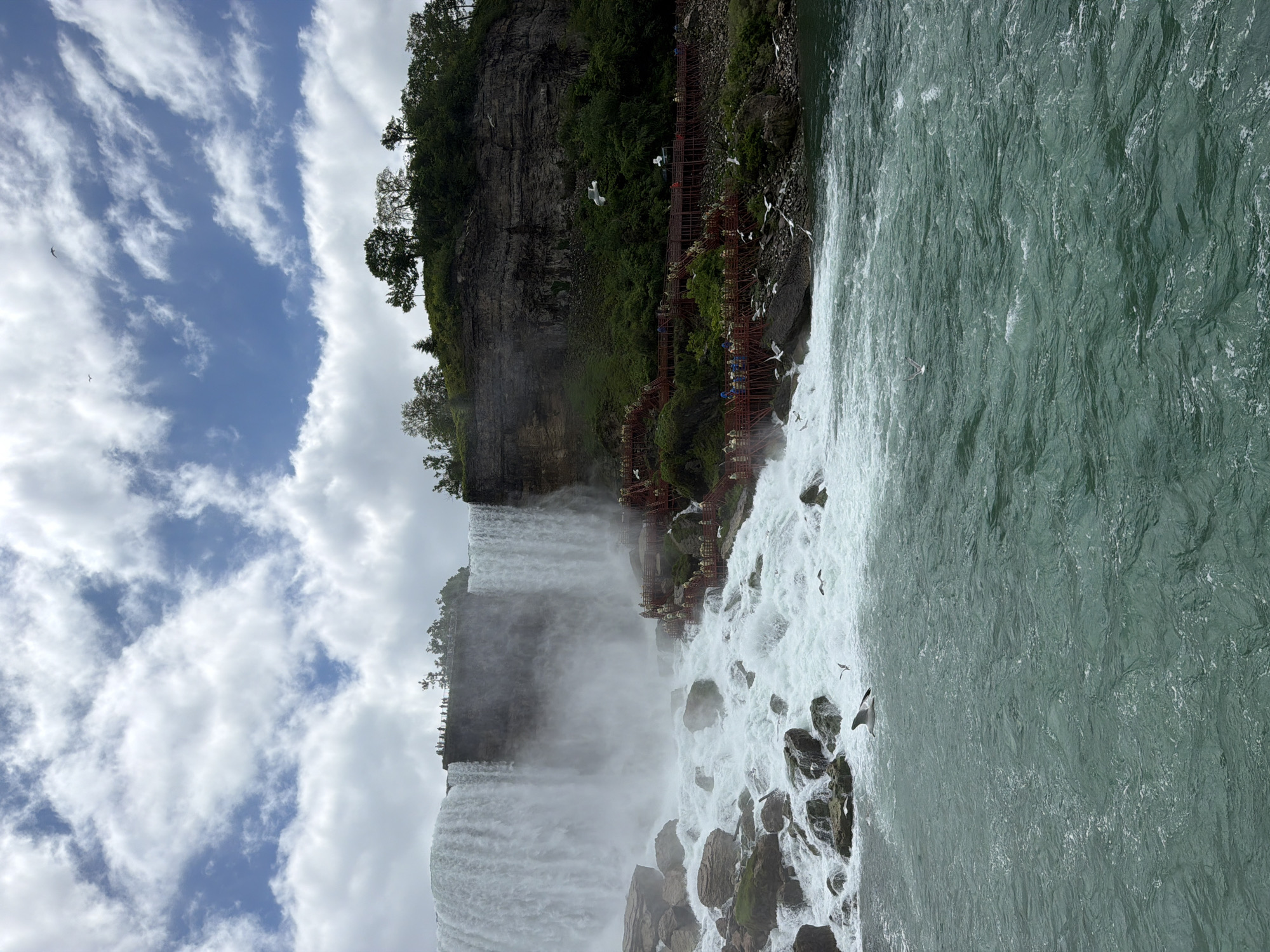 This image provides a comprehensive view of Niagara Falls, specifically the American Falls and Bridal Veil Falls, situated in the City of Niagara Falls, New York, United States of America.
The upper portion of the image features a bright blue sky with extensive white cumulus clouds, displaying varied textures and densities. Several dark bird silhouettes are visible against the sky in the upper right.
The central and left areas are dominated by the powerful flow of the falls, with vast quantities of white water cascading vertically over a dark cliff face. Significant mist rises from the base of the falls, partially obscuring the immediate surroundings. At the precipice of the falls, a narrow observation deck is visible, populated by numerous small figures of people.
To the right of the falls, a steep, dark rock cliff is covered with lush green vegetation and topped by a dense line of trees. Descending along this cliff are multiple tiers of red-painted wooden walkways and stairs, crowded with an array of visitors, many of whom appear to be wearing rain ponchos.
At the base of the falls, the water churns into turbulent white rapids, crashing over numerous dark boulders before transitioning into a wide, calmer expanse of deep teal-green water that fills the lower third of the frame. This water exhibits ripples and currents. Throughout the scene, particularly near the water and along the cliff, numerous white birds, consistent with gulls, are seen in flight. One larger bird, dark on top and white underneath, is observed flying low over the teal water in the lower-middle portion of the image.