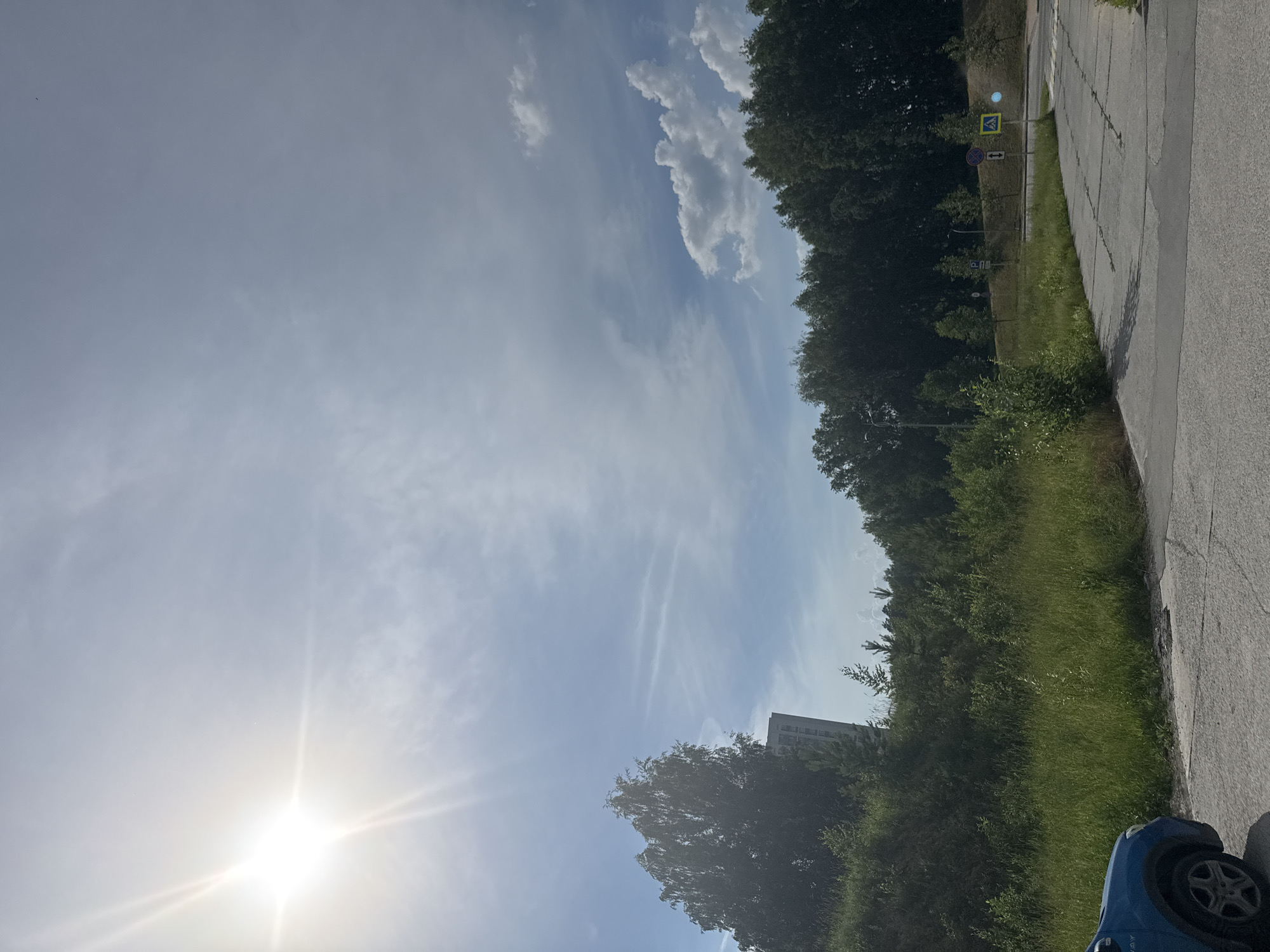 The image depicts a sunny outdoor scene with a bright sun in the upper left corner, casting strong rays across a pale blue sky with scattered clouds. In the foreground, a portion of a blue car is visible on the left. A paved road or parking area occupies the bottom right of the frame, with patches of grass and vegetation growing on either side of it. A dense line of trees forms a backdrop across the middle ground, with a tall, light-colored building partially visible behind a large tree on the left. Further back, several road signs are present, including a pedestrian crossing sign and a parking sign. The overall environment appears to be a suburban or semi-urban area on a clear day. The specific location is identified as Koltsovo, Russia.