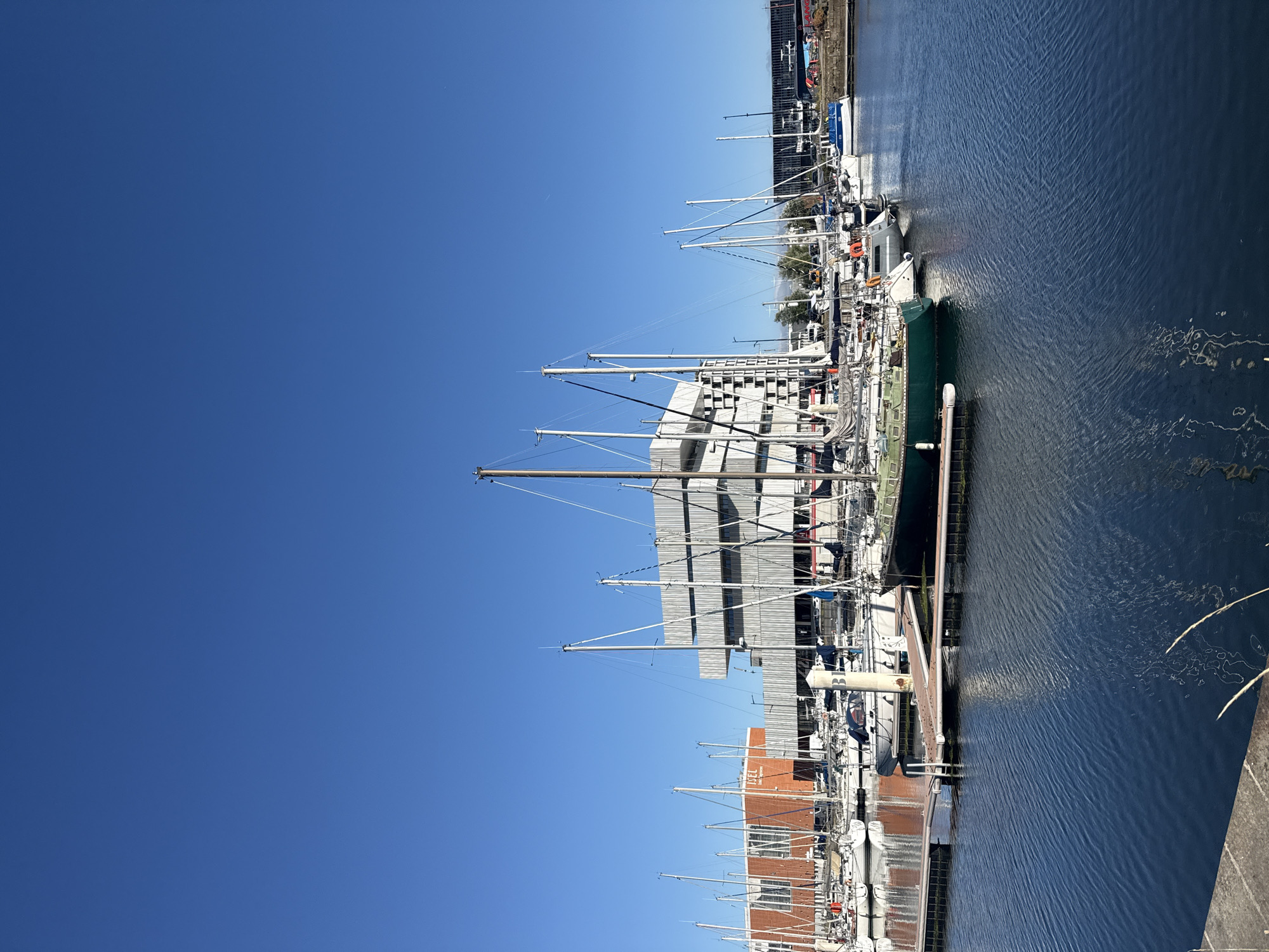 The image depicts a clear, blue sky above a marina in Le Havre, France. Numerous sailboats are moored, their masts extending vertically. In the background, a modern building with a white, ribbed facade stands prominently. To the left, a brick building with large windows is visible. The water in the marina is calm, reflecting the sky and the surrounding structures. One green sailboat is prominently featured in the foreground. No people are visible in the image.