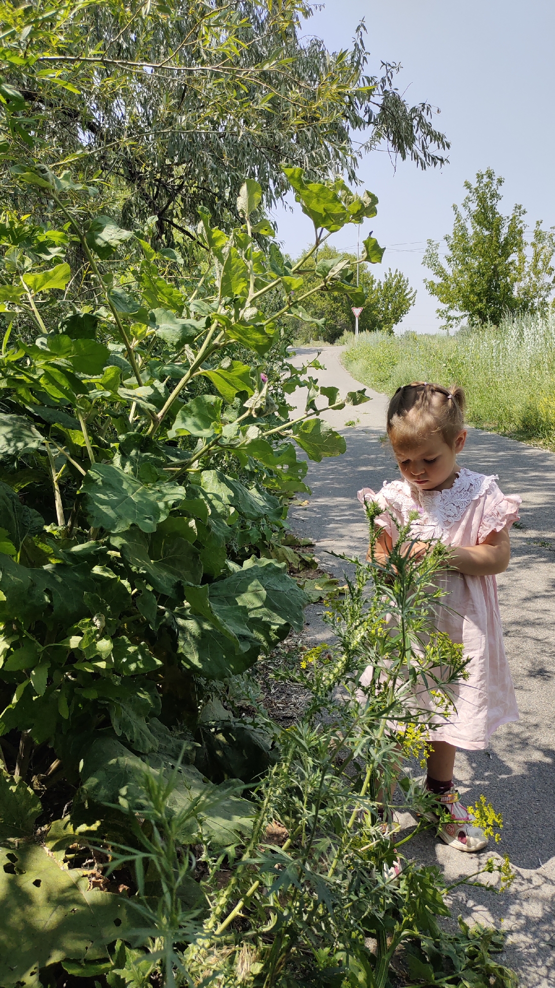 A young girl wearing a pink dress stands by a paved path lined with lush green foliage. She is looking down at a small plant with yellow flowers, her hands near it. The path curves into the distance, bordered by tall grass and trees on either side. The sky above is clear and bright.