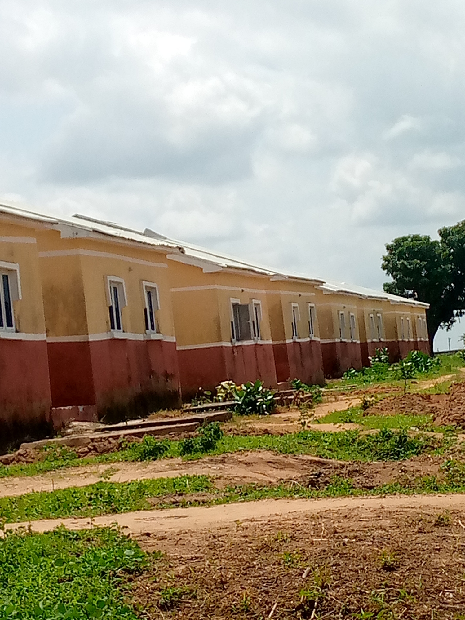 The image shows a row of single-story buildings with yellow and red facades, featuring white-framed windows. The buildings appear to be newly constructed or undergoing renovation, with exposed earth and patchy green vegetation in the foreground. A large green tree is visible on the right side of the image. The sky is overcast with clouds. This scene is located in the city of Jauro Yinu, Nigeria.