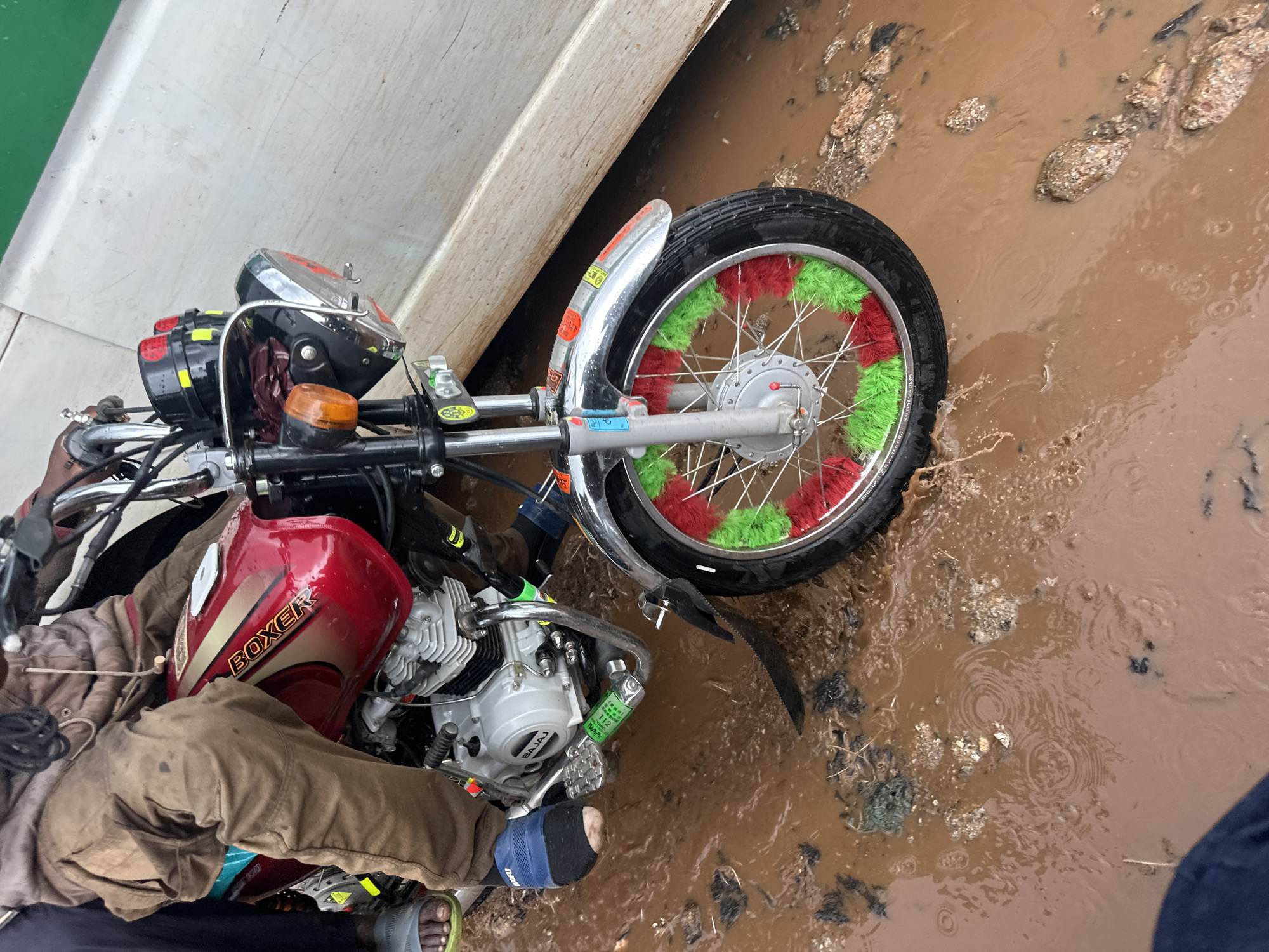 The image shows a red Boxer motorcycle partially submerged in muddy water. The motorcycle's front wheel is decorated with red and green pom-poms. A person's legs, wearing brown pants and blue and gray footwear, are visible on the left side of the image, suggesting they are sitting on the motorcycle. The scene appears to be outdoors, with the motorcycle resting in a shallow pool of brown, muddy water filled with small stones and debris. The water surface shows ripples, indicating that it might be raining or has recently rained. The background consists of a textured, light-colored surface, possibly a wall or a vehicle. There is visible text on the motorcycle, including "BOXER" on the fuel tank. Other text is present on stickers on the motorcycle, but it is not clearly legible. The overall impression is of a motorcycle in a watery, perhaps rural or unpaved, environment. The lighting suggests it is daytime.