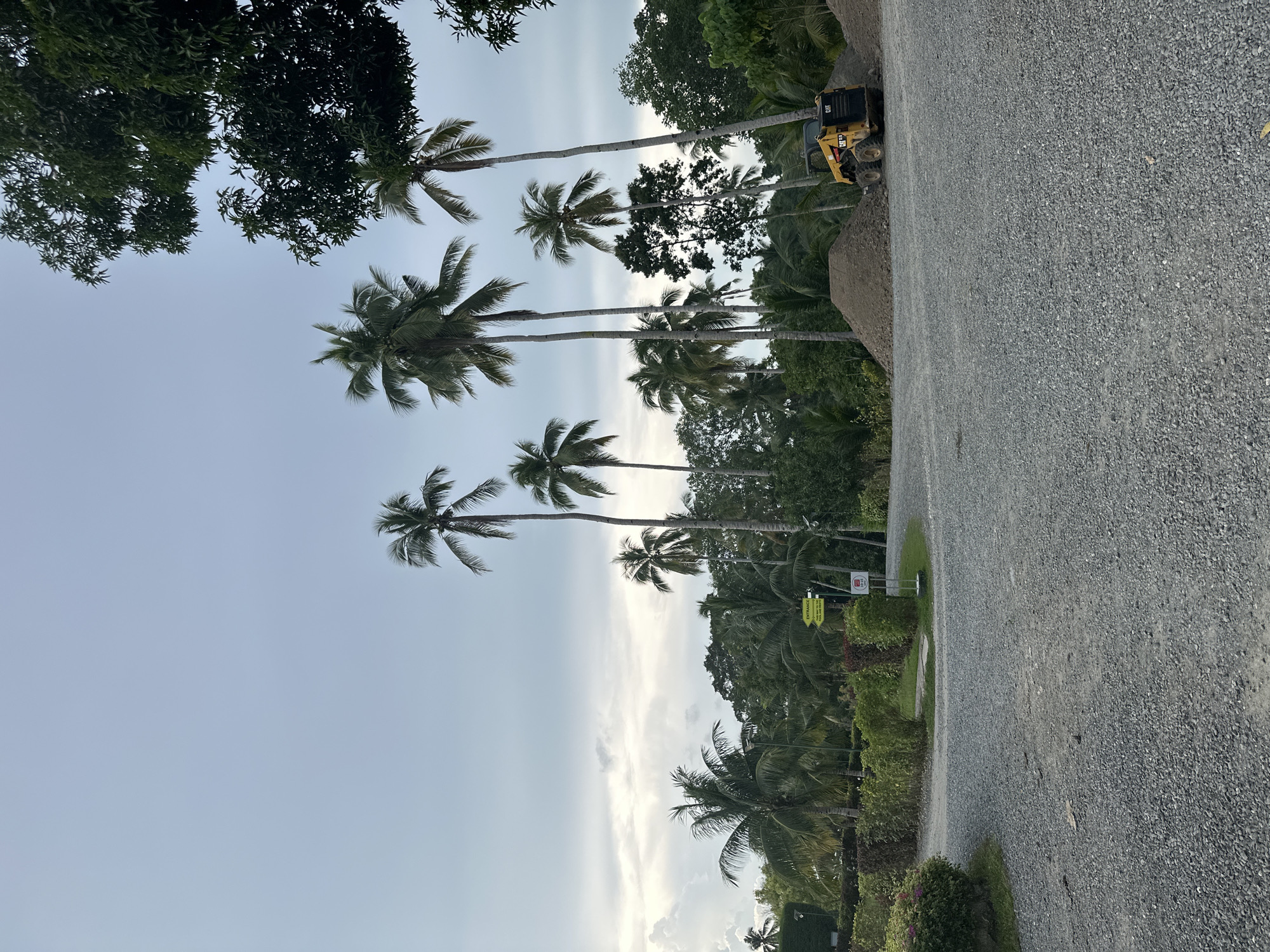 This image depicts a tropical outdoor scene, likely at a construction or landscaping site, under an overcast sky. A gravel-covered pathway or lot occupies the foreground. To the left, there are manicured bushes and a small patch of grass. In the mid-ground, a cluster of palm trees dominates the landscape, with a yellow Caterpillar skid-steer loader visible to the right, positioned near two large piles of dirt or gravel. Dense green foliage and more palm trees form the background. The presence of construction equipment and materials suggests ongoing work. The scene is located in Samal, Philippines.