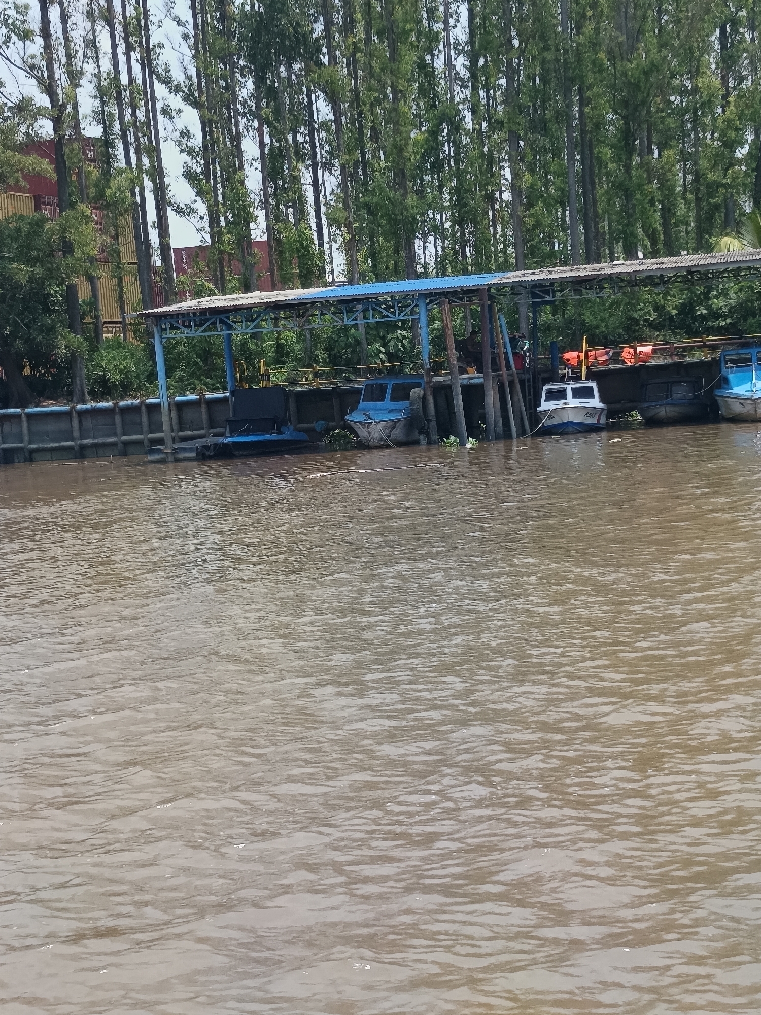 This is an eye-level, medium shot of a riverbank in Pinang Sebatang, Indonesia, with a covered dock and several boats. The river in the foreground is a muddy brown color with visible ripples. Behind the river, a concrete retaining wall forms the edge of the bank. A covered dock structure with a blue roof and metal supports extends over the water. Several boats are docked along the structure. From left to right, there is a blue boat, a small dark blue boat, a white boat with a dark cabin, a larger dark-colored boat with orange life preservers visible on its deck, and a blue boat on the far right. The background consists of a dense line of tall, slender trees with green foliage, and beyond that, some shipping containers are visible. The sky above is overcast. There are no people clearly visible in the image.