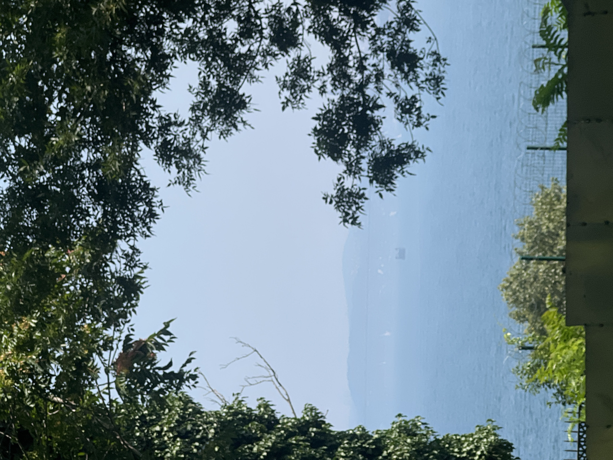 The image depicts a serene view of the sea, framed by lush green trees. In the distance, a hazy mountain range is visible, hinting at a landmass across the water. A solitary ship sails on the vast expanse of blue, adding a sense of scale and depth to the scene. The foreground is occupied by a dense canopy of leaves and branches, partially obscuring the view and creating a natural, organic frame. Below the water's edge, a fence with barbed wire is partially visible, suggesting the presence of a boundary or protected area. The overall impression is one of tranquility and natural beauty, with a hint of human presence in the form of the distant ship and the fence.
