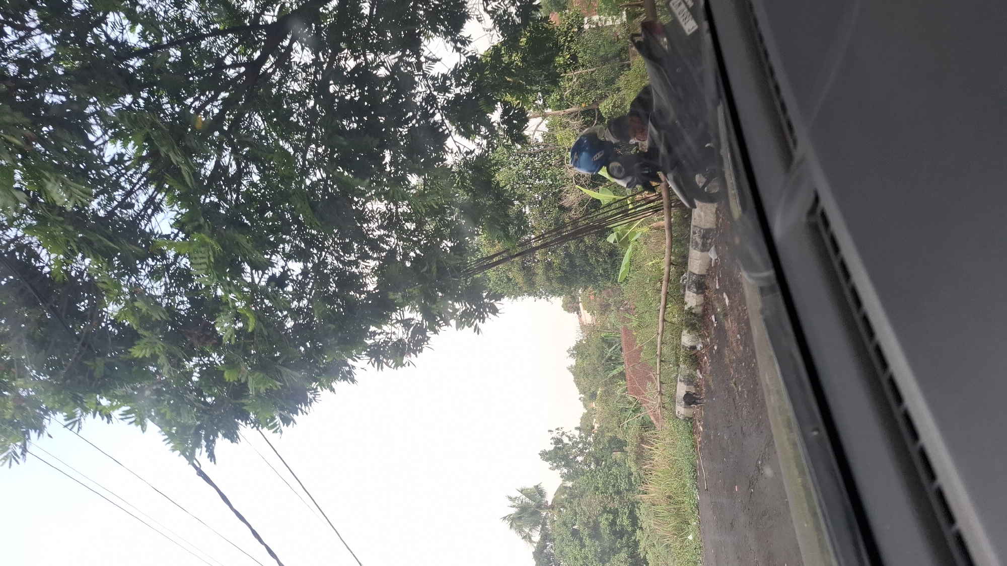 The image is taken from inside a vehicle, looking out at a roadside scene. The foreground shows the dashboard of the car, with a dark grey textured surface. Beyond the dashboard, a paved road is visible, with some debris scattered on it. To the left of the road, tall, dry grass and other vegetation grow.
In the middle ground, a motorcycle is parked on the side of the road. The motorcycle is black and appears to have a blue helmet on its handlebars. A person, likely the rider, is partially visible on the motorcycle, wearing dark clothing. A thin, horizontal wooden pole with some black and white striped markers runs along the edge of the road, separating it from the grassy area.
Further back, a dense collection of trees and foliage forms a green backdrop. A few thin, dark poles are also visible among the trees, possibly part of a structure or scaffolding. In the distance, a few buildings with reddish-brown roofs can be seen peeking through the trees. The sky above is bright and overcast, with some power lines visible running diagonally across the upper left portion of the frame. The overall environment suggests a rural or semi-urban area. The context provided indicates this scene is located in Cilaku, Indonesia.