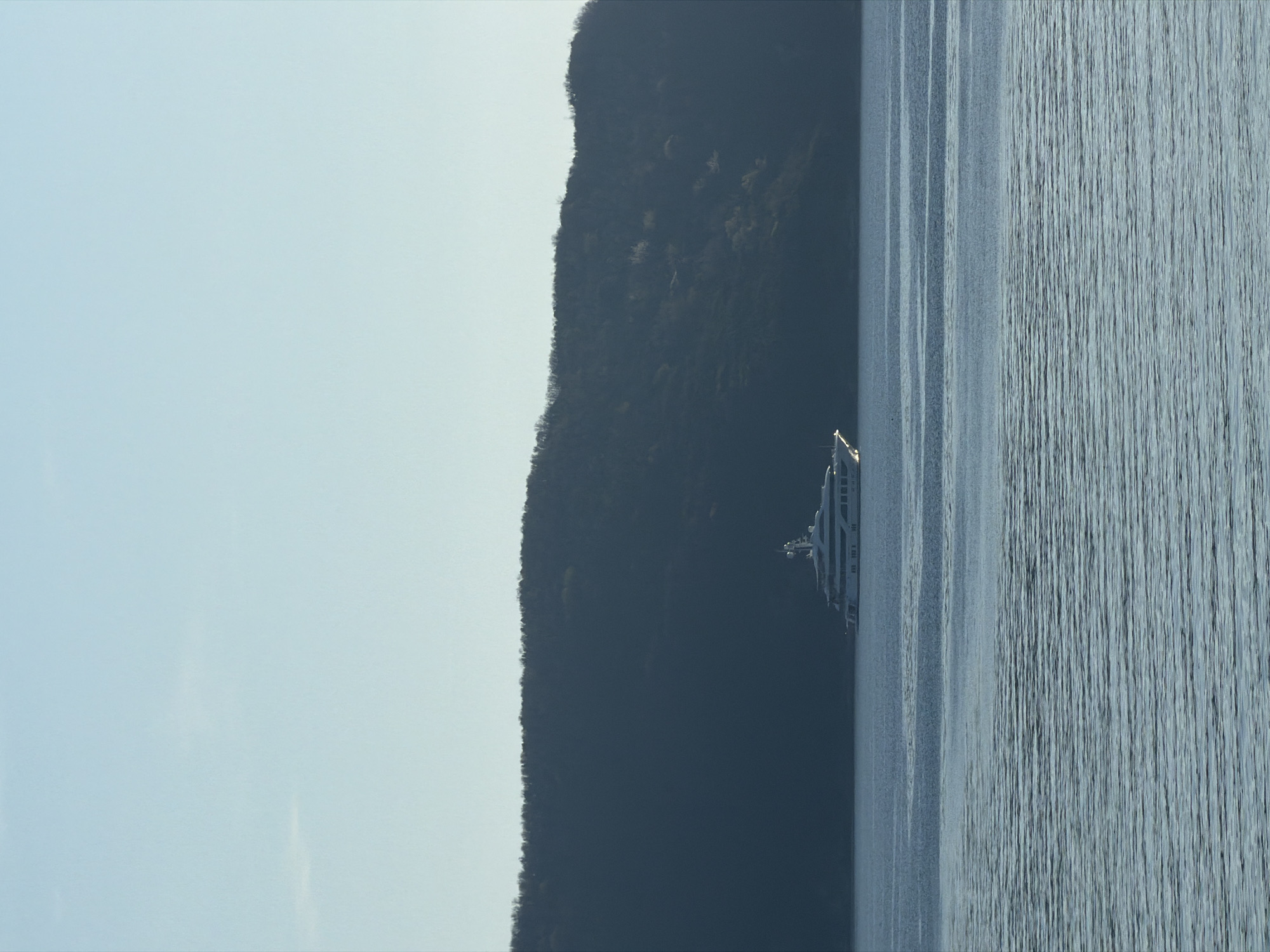 The image depicts a body of water, likely a lake or sea, with a densely wooded mountain range lining the left side of the frame. On the right, the water's surface exhibits subtle wave patterns. A passenger cruise ship is positioned on the water, closer to the mountain range. The sky is a light, hazy blue, suggesting clear weather conditions. I cannot confirm the city of Rafailovići, Montenegro based on image data alone.