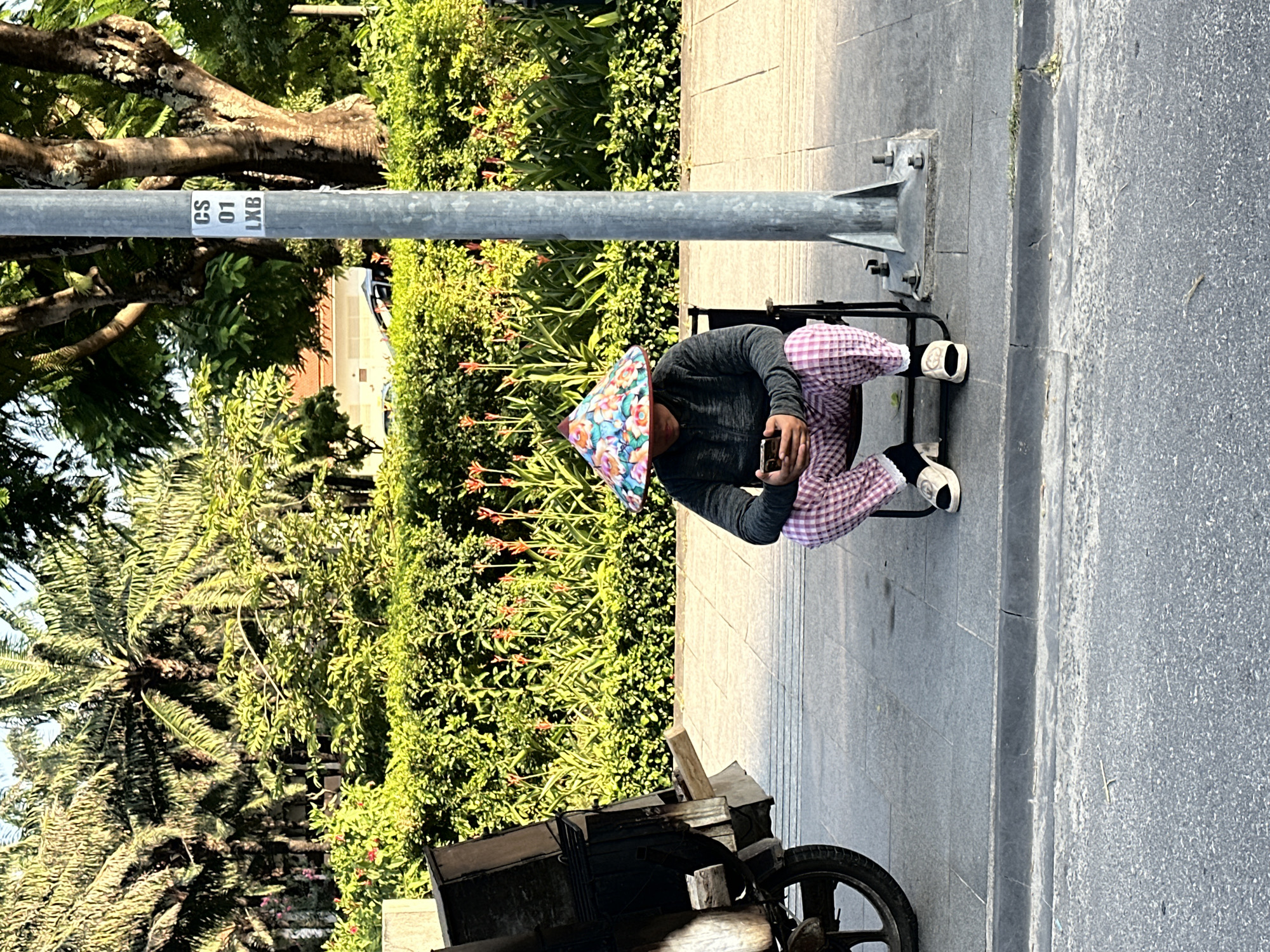 An elderly Vietnamese man sits on a small metal chair on a sidewalk in Đà Nẵng, Vietnam, holding a mobile phone. He wears a traditional conical hat with floral patterns, a grey long-sleeved shirt, and pink checkered pants. A dark cart with a wheel is positioned to his left. A utility pole with the markings "CS 01 LXB" stands next to him. Lush green foliage lines the sidewalk behind him, with a palm tree visible in the background. The sidewalk is paved with grey stone tiles, and the street is asphalt.