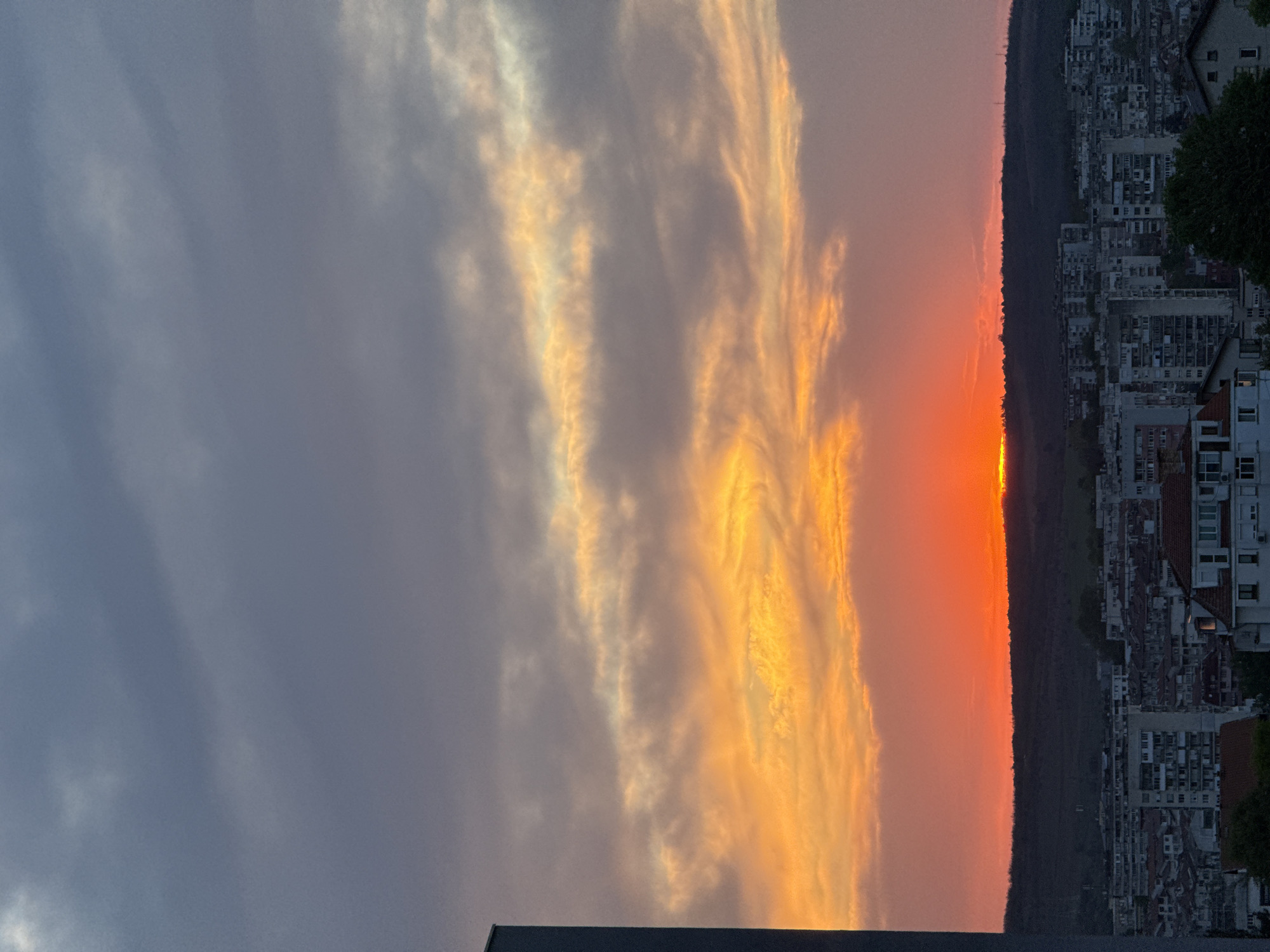 The image depicts a sunset in Pleven, Bulgaria. On the right side is a hill covered in buildings, many of which appear to be apartment buildings. A dense forest separates the sunset's light and the city. The sunset itself is a brilliant orange, casting a warm glow on the clouds. Some clouds on the left are a darker gray. The image appears to be taken from an elevated position, as a rooftop is visible in the foreground.