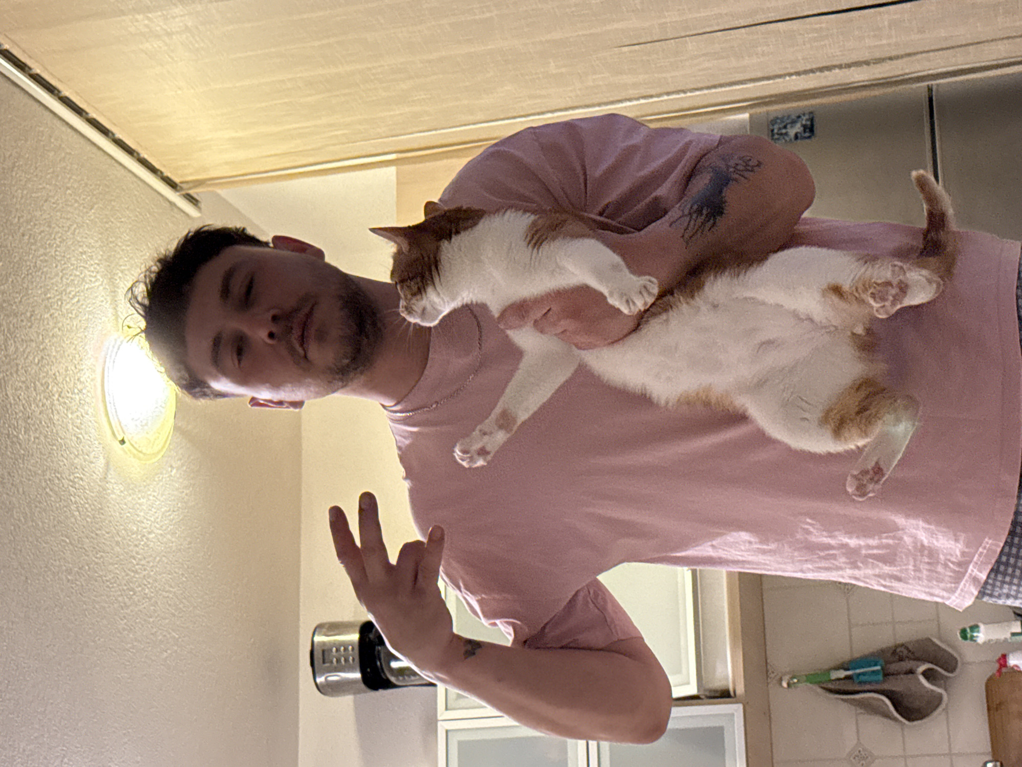 An indoor portrait captures a man holding a white and ginger cat. The man, with dark, disheveled hair and a beard, is wearing a pink short-sleeved t-shirt and a silver chain necklace. He has tattoos on his left arm and makes a "peace" or "victory" gesture with his left hand. His expression is relaxed, with a slight smirk. The cat is comfortably cradled in his arms, looking away from the camera.
The setting appears to be a kitchen or domestic space in Bar, Montenegro. In the background, a warm-toned, wall-mounted light fixture illuminates a textured light-colored wall. Below, a kitchen counter with a tiled backsplash is visible, featuring a small metallic appliance, a bottle brush, a grey cloth, and a wooden block. White or light-colored kitchen cabinets are seen beneath the counter. A ceiling with a textured finish or panels runs across the top of the frame. The lighting suggests it could be evening or night. There is no visible text.