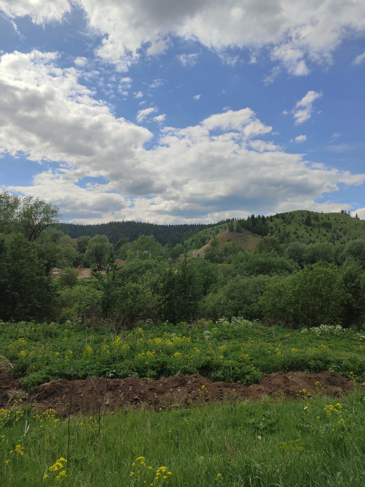 The image depicts a rural landscape in the vicinity of Sim, Russia. The foreground consists of a field with green grass and patches of yellow wildflowers. A strip of dark brown tilled soil bisects the lower portion of the image, separating the taller grass in the immediate foreground from a dense patch of mixed vegetation behind it.
Midground features lush green trees and shrubs, partially obscuring a distant, slightly terraced hillside. Some construction or land clearing appears to be occurring within the wooded area.
In the background, a gently rolling hill covered in grass and scattered trees rises against the sky. The sky is predominantly blue, scattered with white cumulus clouds.