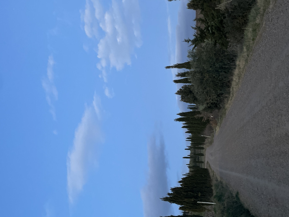 The image displays a serene, unpopulated rural landscape, strongly indicative of the Tuscan countryside near Montalcino, Italy. A narrow, unpaved gravel road, showing signs of vehicle tracks, extends from the lower right foreground into the distant background, gradually curving towards the left. This road is bordered on both sides by characteristic tall, slender cypress trees, which form a distinct line receding into the horizon. Interspersed with the cypress trees are other dark green bushes and vegetation.
The upper portion of the frame is dominated by a clear, bright blue sky scattered with wispy, white cumulus clouds. The lighting suggests either early morning or late afternoon, with the ground and trees appearing somewhat shadowed, lending a soft, tranquil atmosphere to the scene. In the far distance, faint outlines of rolling hills or mountains are visible under a slight atmospheric haze, merging with the sky. There are no people, animals, or discernible text present in the image. The overall impression is one of peaceful solitude and natural beauty.