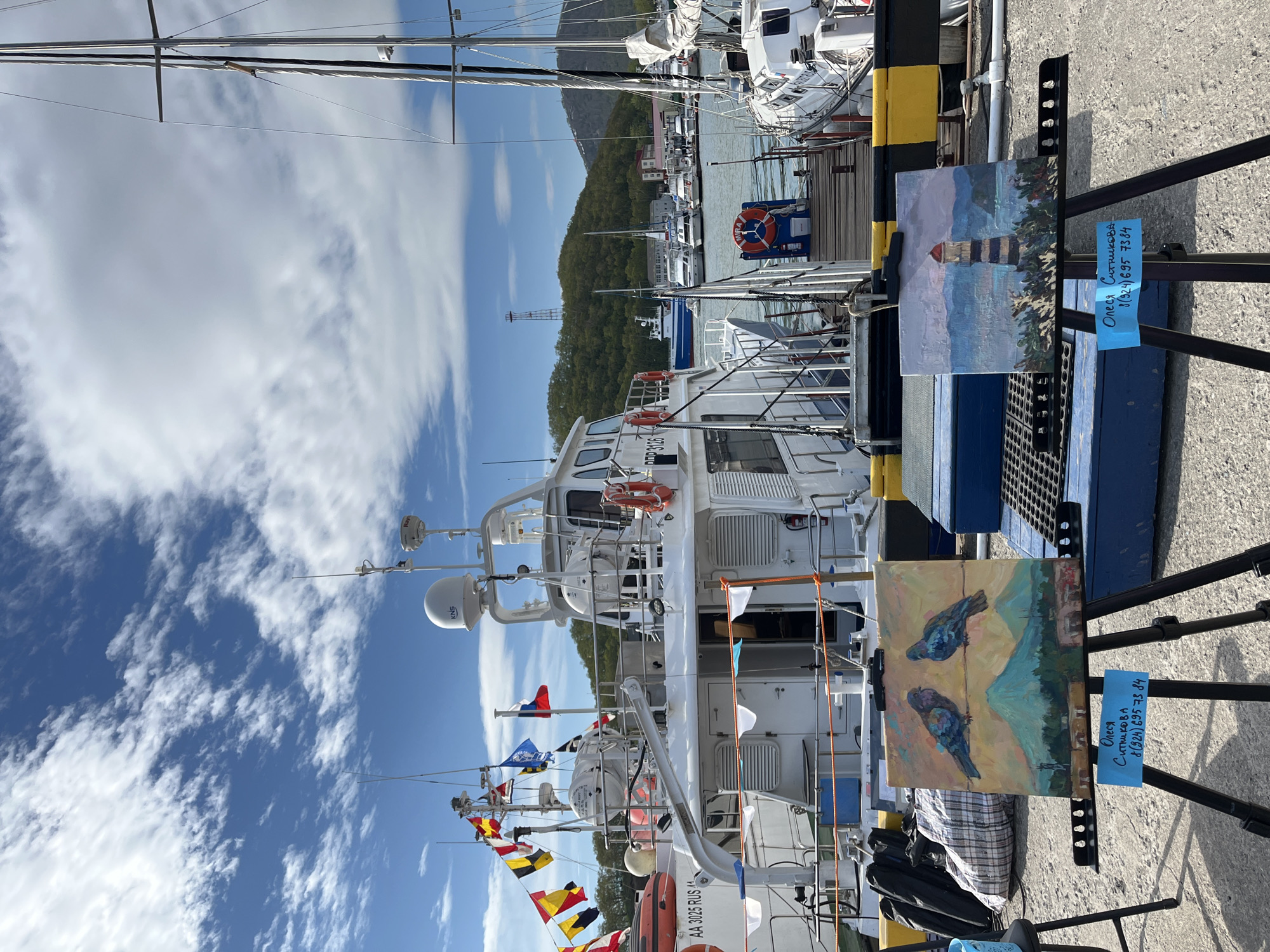 The image captures a scene at the port of Petropavlovsk-Kamchatsky, Russia, under a partly cloudy sky. In the foreground, two small paintings are displayed on easels. The painting on the left depicts two birds perched on a wire with a mountainous landscape in the background. The painting on the right features a lighthouse on a rocky shore. Both paintings have blue signs with handwritten text, likely an artist's name and contact information.
Behind the paintings, a large white boat is docked, adorned with various nautical flags. Another boat, a sailboat, is visible to the right. In the middle ground, several other vessels are moored, and buildings and a tall radio tower are situated on a verdant, tree-covered hillside in the background. The dock area is characterized by yellow and black striped barriers. The overall atmosphere suggests an outdoor art display in a maritime setting.
