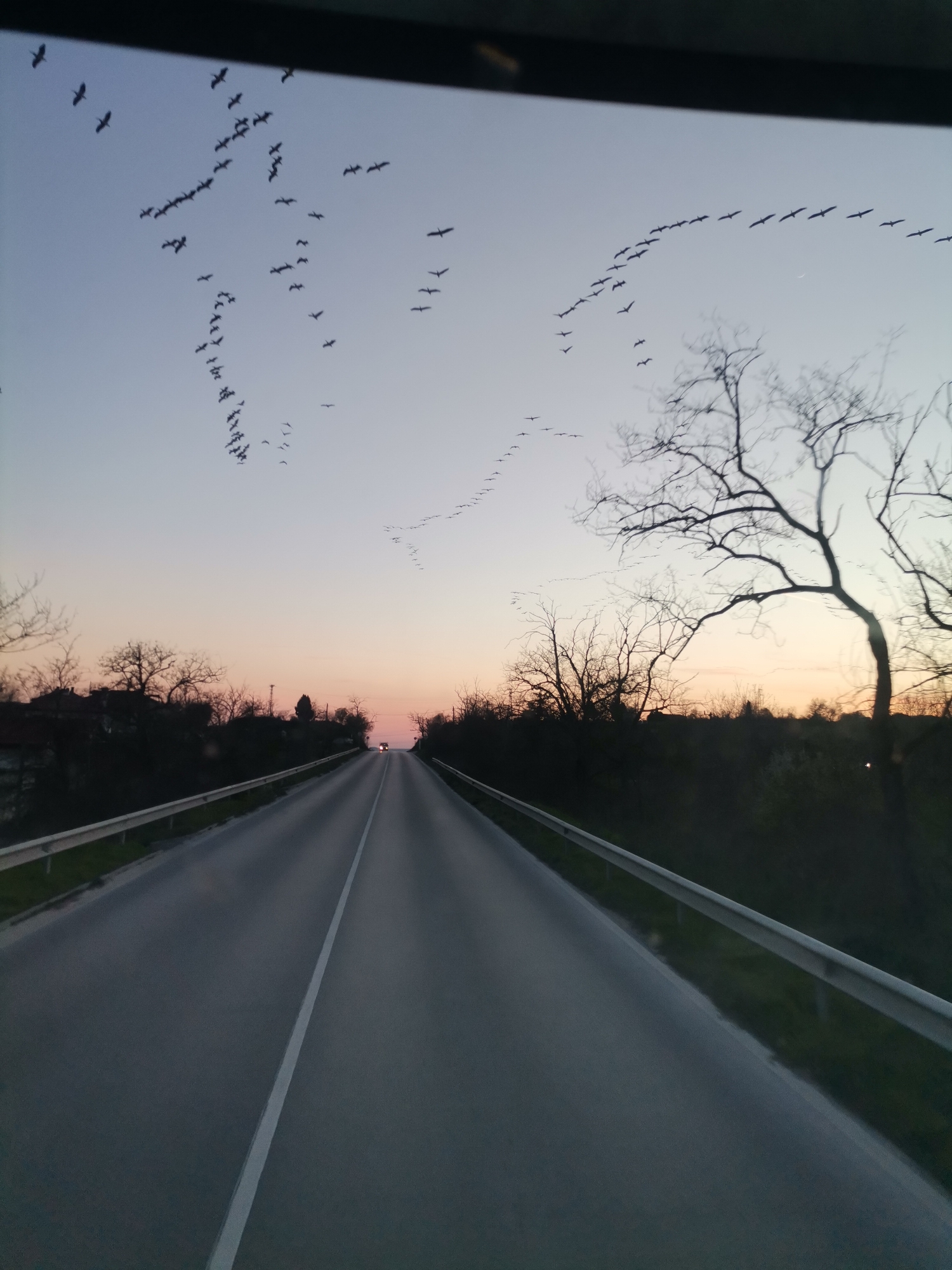 The image shows a straight road leading into the distance during twilight. The sky has a gradient of light blue to pale orange at the horizon. Flocks of birds are flying across the sky. The road is flanked by trees and vegetation, with safety railings on both sides. The scene appears to be taken from within a vehicle. Given the location constraint, it is likely that the image was taken somewhere on the outskirts of Strashimirovo, Bulgaria. A vehicle is visible in the distance.
