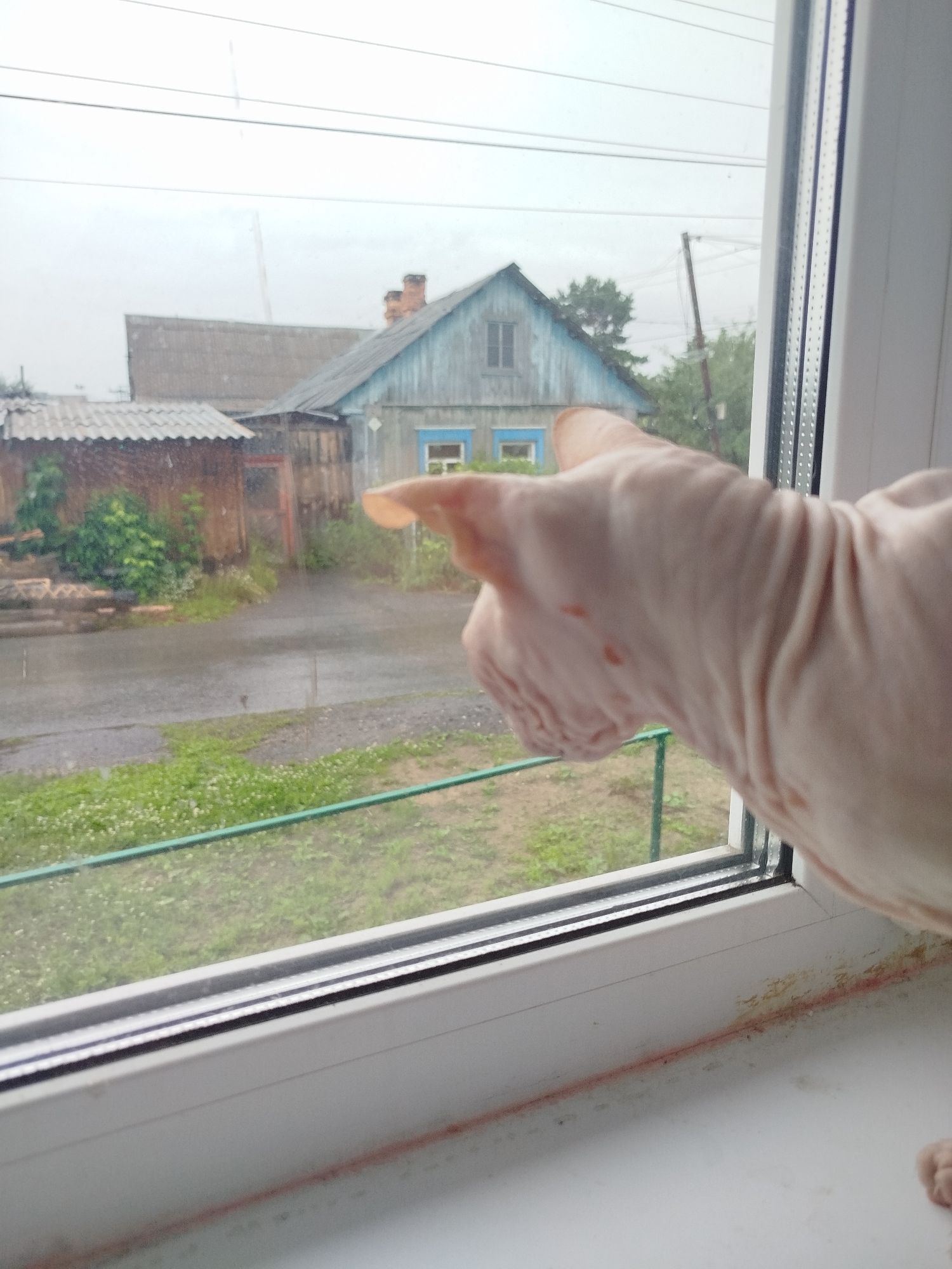 A close-up, eye-level, outdoor shot captures a hairless cat, likely a Sphynx, with wrinkled pink skin and prominent ears, gazing out a window. The cat's head and neck fill the right side of the frame, with its head tilted slightly upwards and to the left. Its body extends out of frame. The cat's paw, with visible toes and pads, rests on a white windowsill in the lower right corner. The windowsill appears stained with red and yellow marks.
Through the window, a rural scene is visible, depicting a weathered, pale blue wooden house with a dark roof and a prominent brick chimney. To the left of this house, another structure with a corrugated metal roof is partially visible, appearing as a shed or smaller dwelling. The ground outside is wet and muddy, with patches of green grass and small white flowers. A thin green railing or fence runs horizontally across the middle ground, separating the immediate foreground from the background. A power pole with wires is visible in the distance. The sky is overcast and a light rain is falling, evident as streaks on the windowpane. The overall impression is one of a domestic setting in a rural area, possibly Zavodoukovsk, Russia, given the architecture and natural surroundings, during a rainy day.