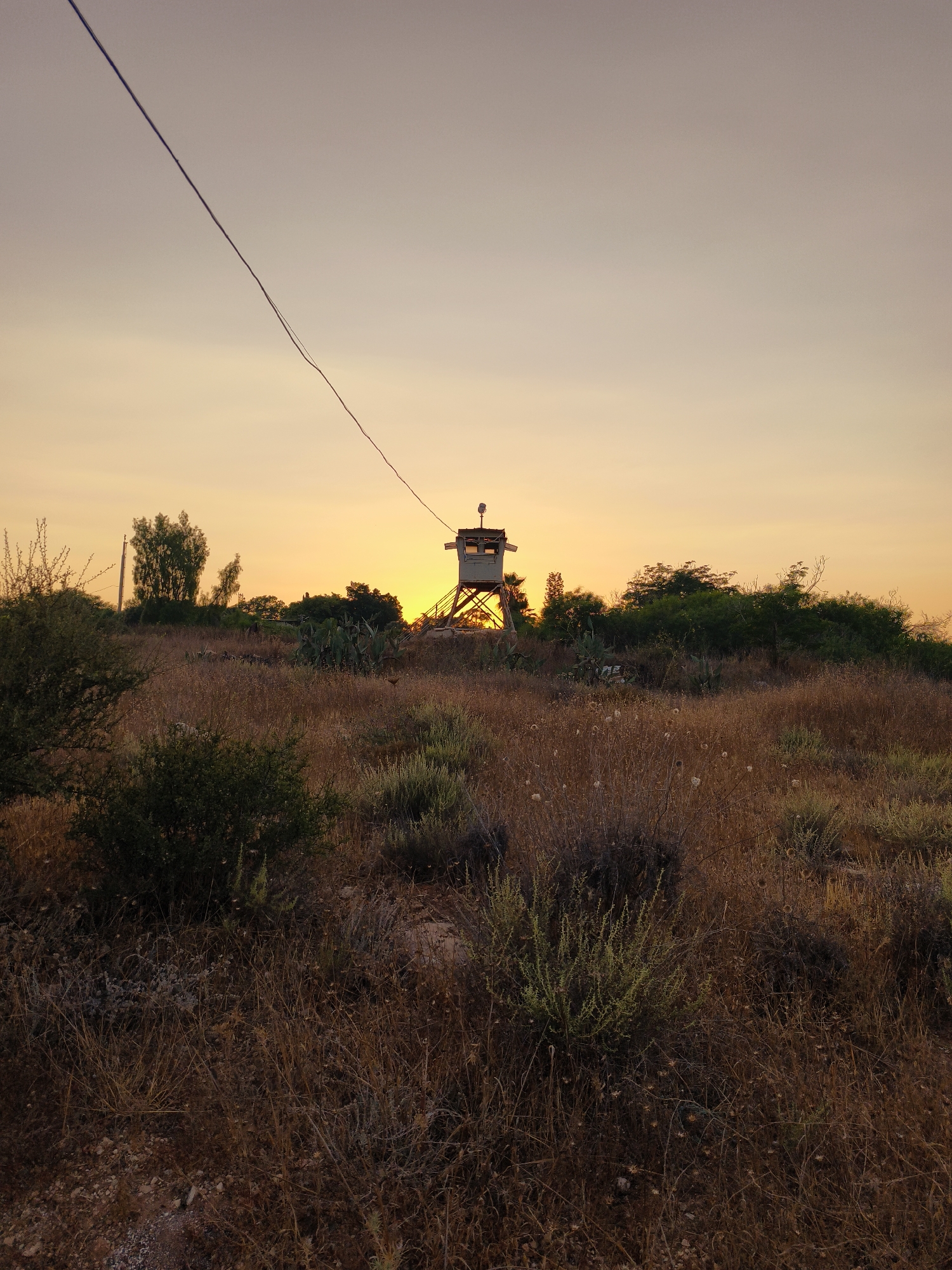 An outdoor, medium shot photograph taken during sunset features a guard tower on a dry, grassy hill. The sky is a soft gradient of orange and yellow. A thin cable stretches diagonally across the upper portion of the image from the left. The guard tower, a boxy structure on stilts, is positioned centrally in the background, with the setting sun visible behind it. The foreground and midground are filled with dry, brown vegetation, including bushes and grasses, with some scattered green plants. Several trees are visible behind the tower and to its left. The terrain appears arid and uncultivated, consistent with the Lachish Regional Council in Israel, an area known for its agricultural settlements and dry climate. There are no people or animals visible in the frame.