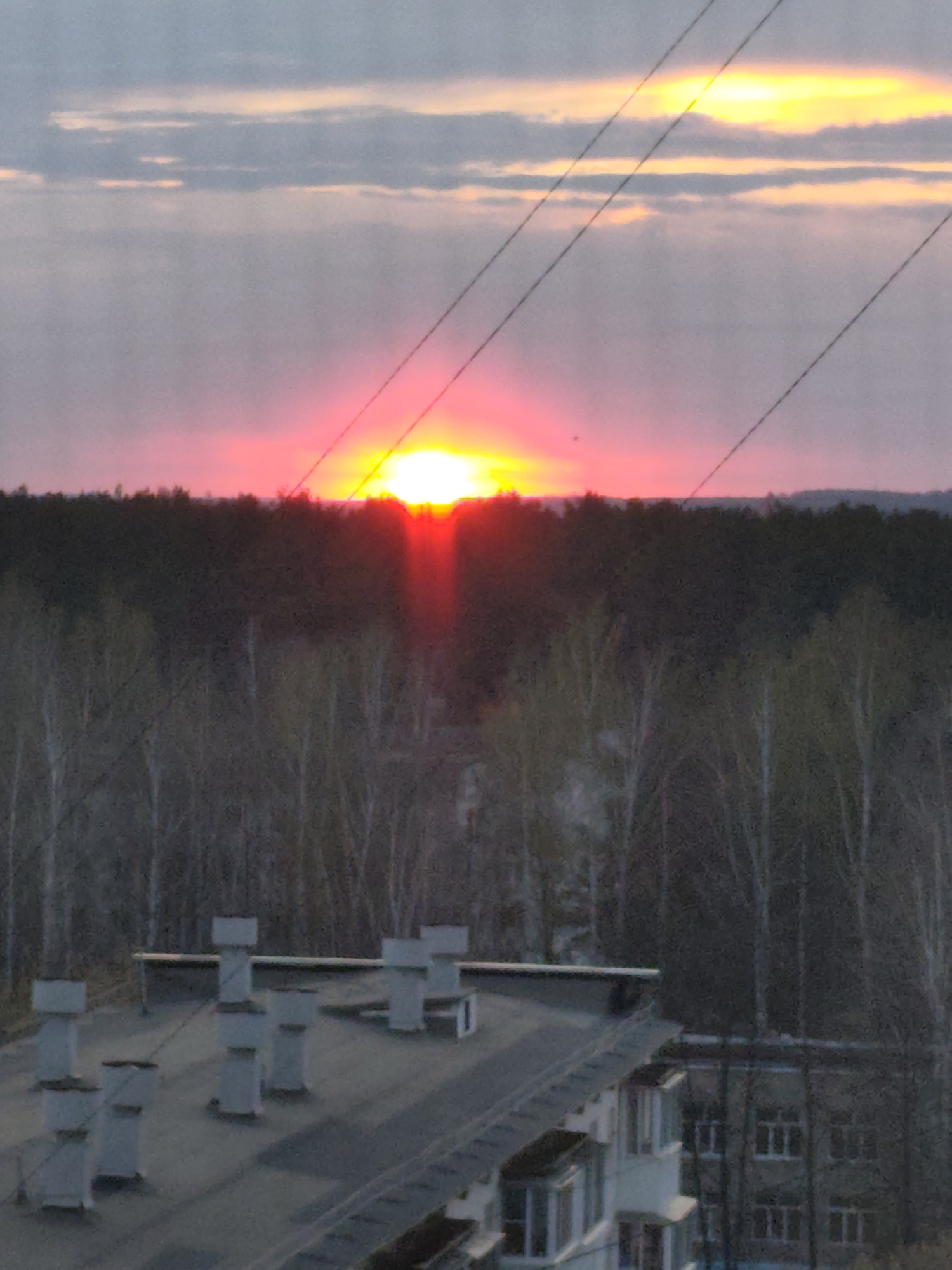 The image shows a sunset over a cityscape, possibly taken from a high vantage point in Chaikovsky, Russia. The sun is a bright, yellow-white disk obscured slightly by a treeline, with a pronounced red glow emanating from around its edges and projecting downward. Silhouetted against the sunset is a dark line of trees. In the foreground are light-colored bare trees and a building rooftop with several box-shaped structures, likely vents or exhaust systems. Power lines stretch across the upper portion of the frame. The sky is a mix of gray, pink, and yellow hues. Another building can be seen in the distance. The lighting indicates it is either sunrise or sunset.