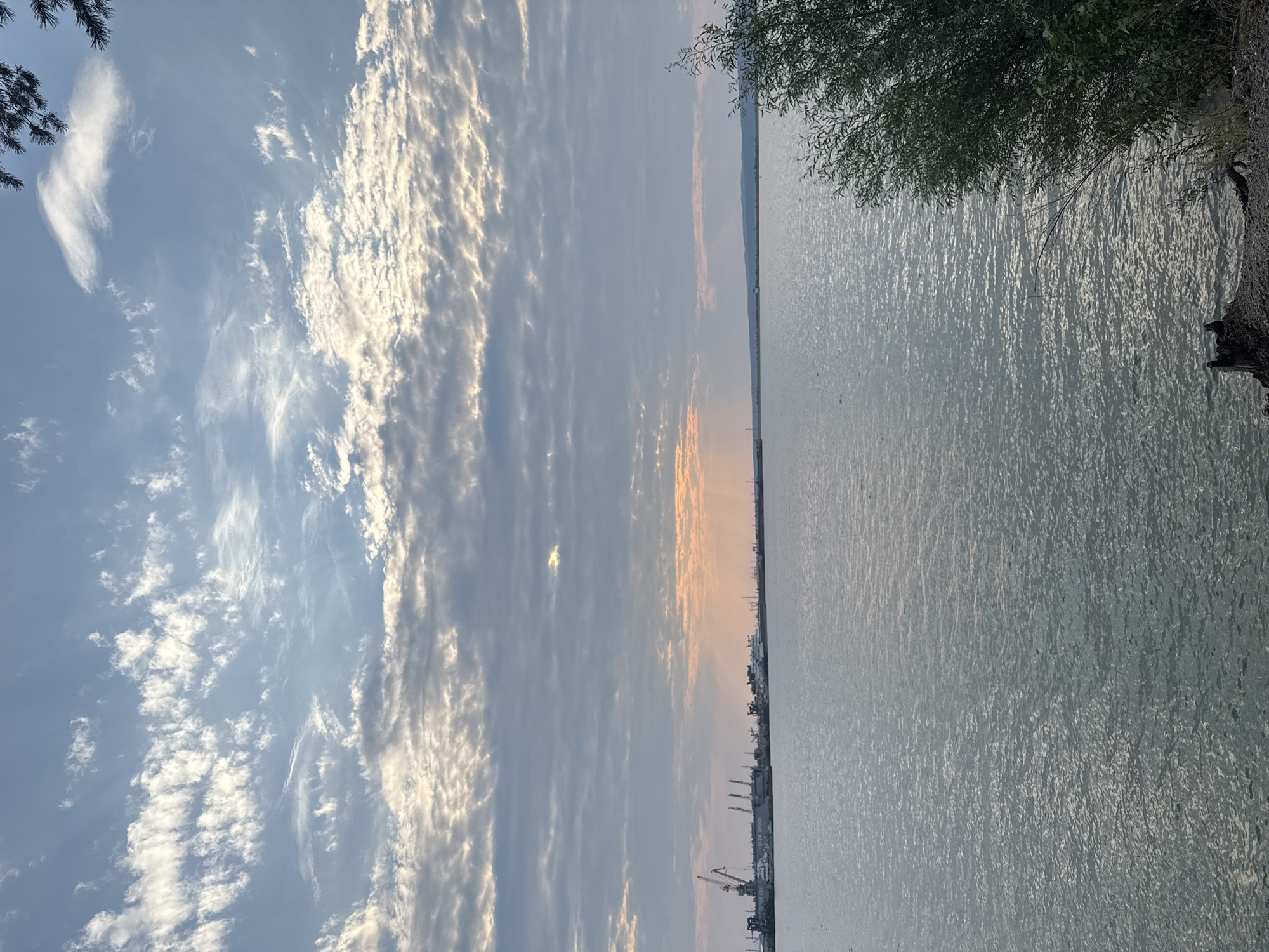 The image depicts a wide body of water, likely a reservoir or river, with a shoreline in the foreground on the right side featuring a dense cluster of green leafy bushes and some debris on the ground. In the distance, along the horizon, a port facility is visible with several industrial cranes and structures. The sky above is partially overcast with scattered clouds, some of which are illuminated by the setting or rising sun, creating a diffused light. Rays of light are visible breaking through the clouds over the water. The water's surface is textured with ripples, reflecting the muted light from the sky. The overall scene conveys a sense of an industrial port area at dusk or dawn, situated on a large body of water. Given the context of Chaikovsky, Russia, this scene is likely the Kama River or its reservoir.