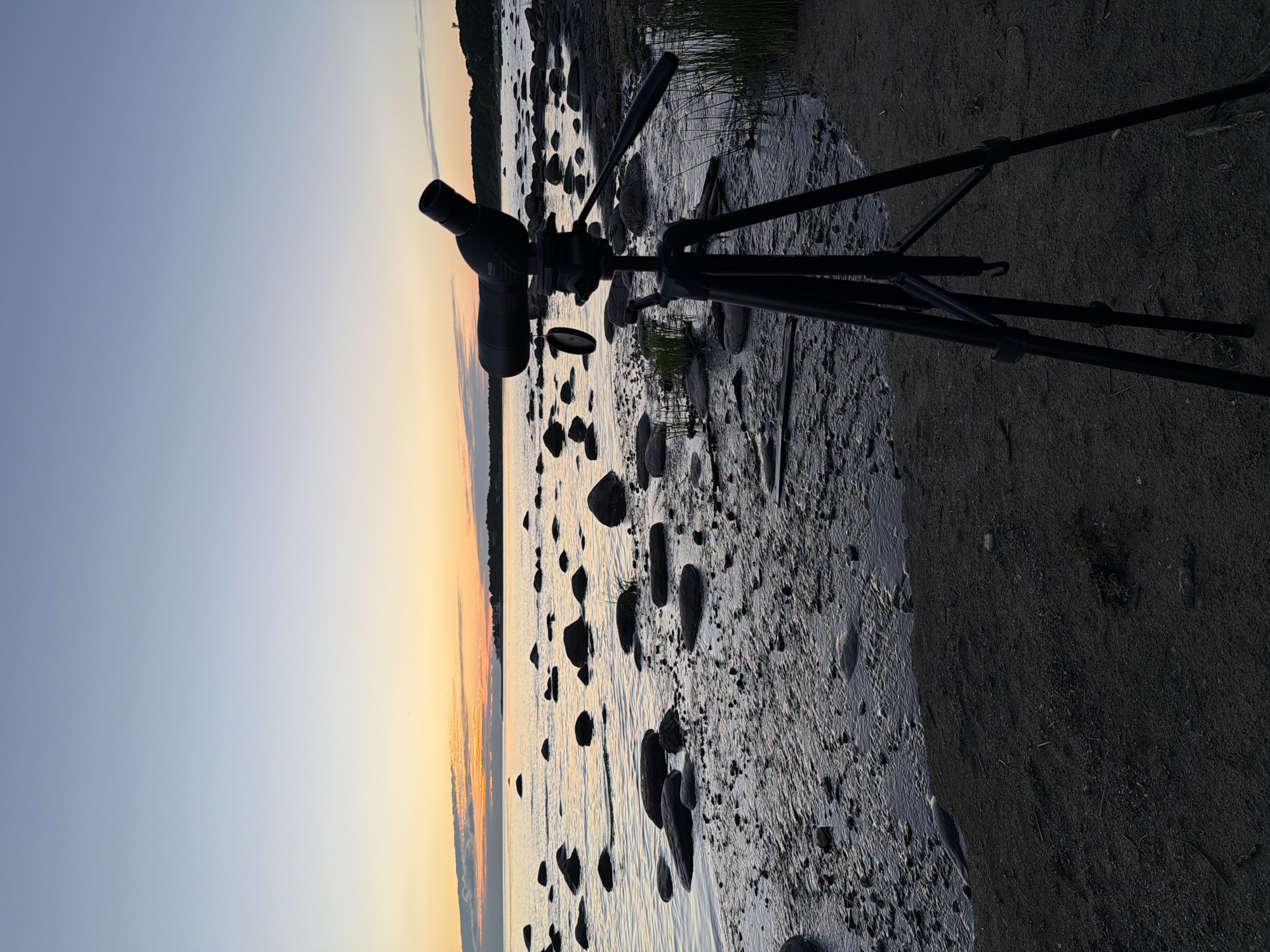 This is a medium shot, eye-level, vertical photograph of a telescope on a tripod situated on a sandy shoreline at dusk. The telescope is black and pointed towards the sea, which is calm and reflects the soft colors of the sunset. The sky is a gradient of pale blue and orange. The shoreline is littered with smooth, dark rocks of various sizes, and a small amount of green vegetation is visible on the right side of the frame. In the background, a tree line and buildings are faintly visible across the water. The photograph was taken in Haabneeme alevik, Estonia.
