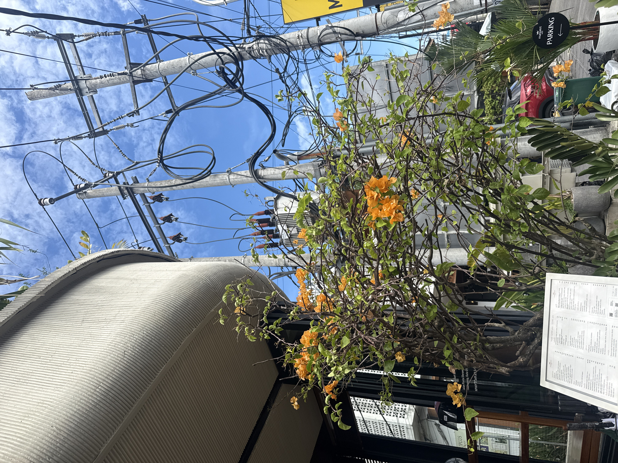 This outdoor shot, taken from a low angle looking upwards, captures a bustling street scene under a bright blue sky dotted with scattered white clouds. The upper half of the image is dominated by an intricate web of utility poles and a dense, tangled array of black electrical and communication wires, along with insulators and a transformer.
In the mid-ground, a large bushy plant with vibrant orange flowers and green leaves, possibly bougainvillea, stands prominently, partially obscuring the background. To the right, a black circular sign featuring the name "margaret" and the word "PARKING" with a downward arrow is attached to a palm tree, behind which a sliver of a red car is visible.
The lower left corner shows a distinct curved building structure with horizontal corrugated or ribbed textures, illuminated by sunlight. To the right, a part of a darker building facade with windows can be seen. A white menu board, also displaying "margaret" at the top, is visible on the far right, listing various items. Other visible text includes "IPLUS", "Jalan Pantai Berawa", "Kuta Ut", "NPWP.3649.8713-", and "12:00 pm-12:00 200", strongly suggesting a location in Bali, Indonesia. The bright lighting indicates it is daytime, likely midday, on a clear and sunny day.