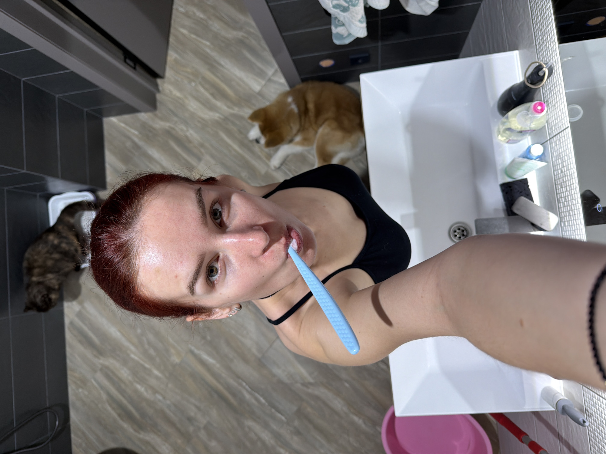 A woman is brushing her teeth in a bathroom. She is fair-skinned with auburn hair and wearing a black tank top with a black choker. She is holding a blue toothbrush to her mouth, with toothpaste visible.
The bathroom has gray floor tiles and a white sink. Various toiletries are on the sink and its surrounding countertop. A brown and white dog is lying on the floor near the sink. A cat is lying on the floor in the corner of the room. The location is implied to be Chaikovsky, Russia.