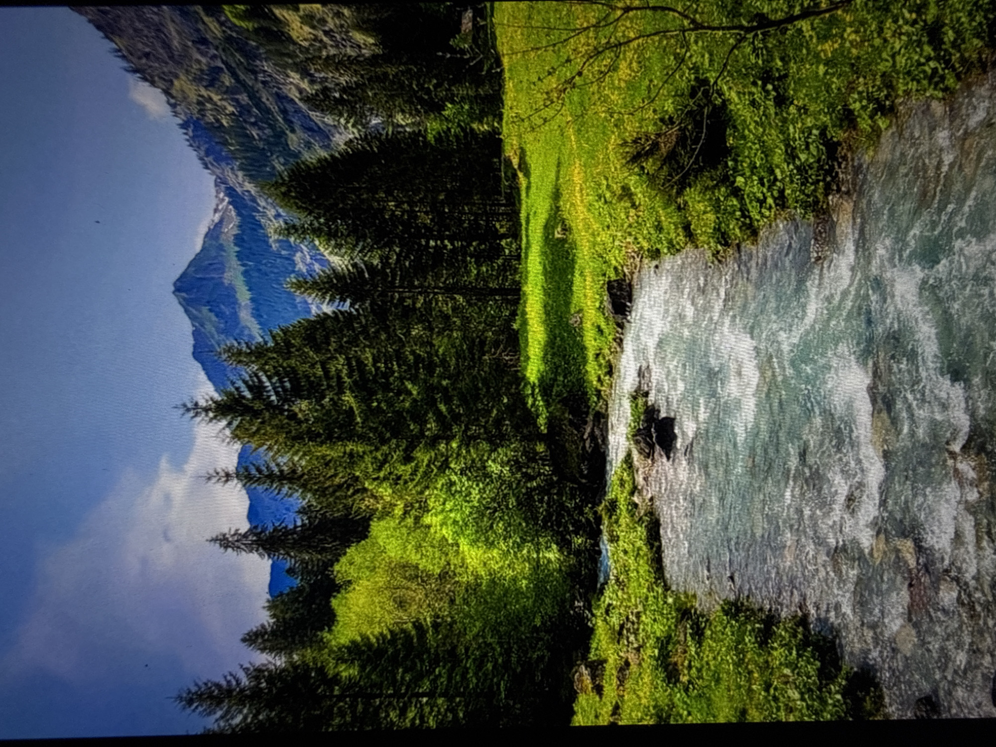 The image depicts a scenic mountain landscape with a river flowing through it. The river in the foreground is clear and turbulent, with visible rocks and pebbles beneath the surface. The banks of the river are lush with green vegetation, including grasses and small plants. In the mid-ground, a dense forest of evergreen trees stands tall, their dark green foliage contrasting with the bright green of the grassy meadows scattered throughout. Further in the background, majestic mountains rise, their peaks partially covered in snow and their slopes covered with trees. The sky above is a vibrant blue with some scattered white clouds. The overall scene conveys a sense of natural beauty and tranquility. There are no people or specific structures visible in the image, and the location is not identified as being in any particular city.