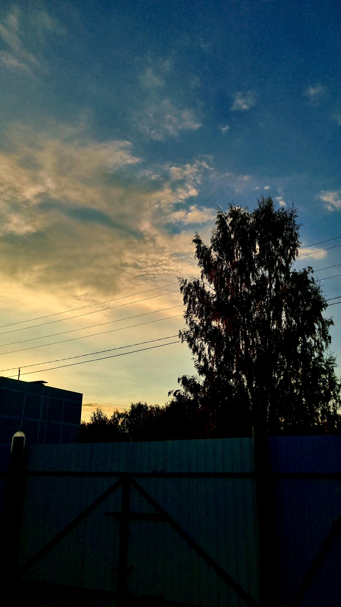 The image shows a silhouette of a tree against a twilight sky. The sky is a gradient of deep blue at the top, transitioning to lighter shades of blue and yellow as it approaches the horizon. Clouds are scattered across the sky, some appearing wispy and light, while others are more defined and textured, catching the last rays of the sun.
In the foreground, a dark, metal fence stretches across the bottom of the frame. The fence has a gate-like structure with diagonal supports. To the left of the fence, a dark, rectangular building is partially visible, with a round, illuminated object attached to a pole in front of it.
The overall scene is dark, with the exception of the sky and the illuminated object on the pole. The silhouettes of the tree, building, and fence suggest that the photograph was taken at dusk or dawn. The presence of power lines running horizontally across the scene indicates an urban or suburban environment.