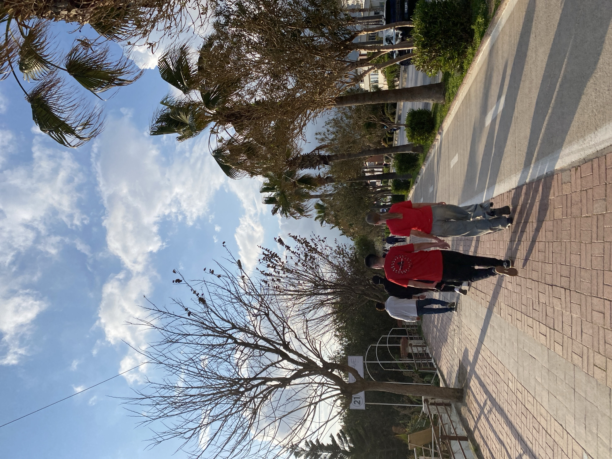 A medium-shot, outdoor scene in Alanya, Turkey, depicting a group of people walking along a brick sidewalk adjacent to a paved road lined with trees. Two individuals in red shirts are in the foreground, while a third person in a white shirt is slightly behind them. Trees with bare branches are visible on the left side of the frame, contrasting with the palm trees and other greenery lining the road on the right. The sky is visible with patchy clouds in the background.