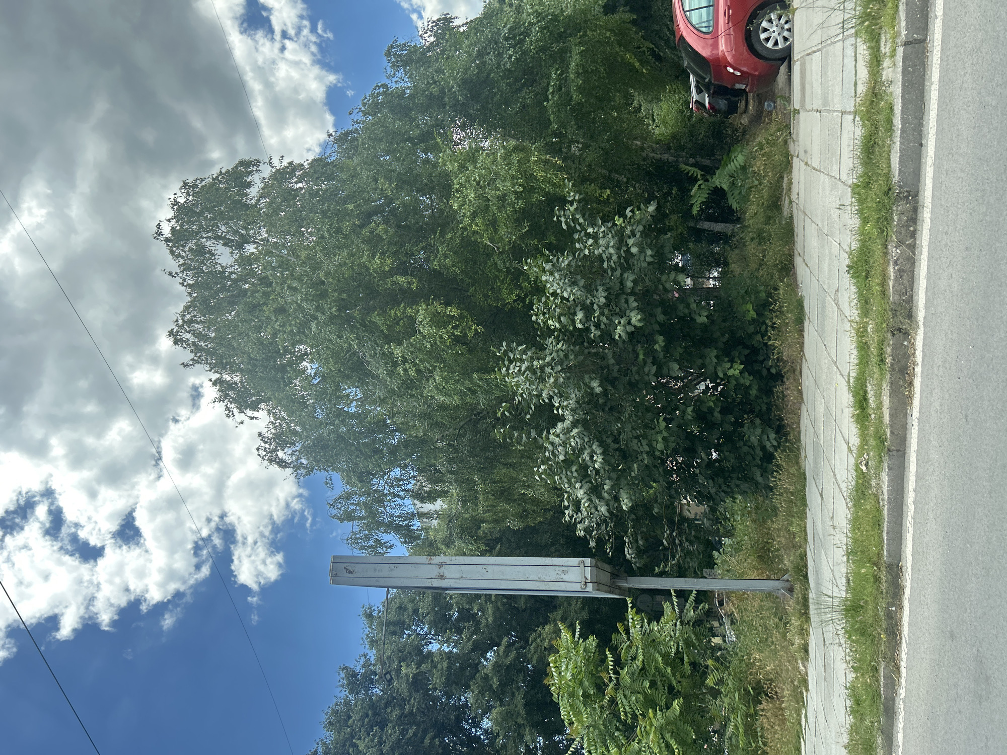 The image depicts an outdoor scene with a paved sidewalk and an asphalt road. A tall, weathered, rectangular metal signpost stands on the sidewalk. Behind the signpost, a large, leafy green tree dominates the center of the frame. To the left of the signpost, a dense collection of green bushes and smaller trees is visible. To the right of the main tree, a red car is parked, with its rear partially visible. Further behind the red car, another car is parked. The sky is partly cloudy, with patches of blue visible amongst white and gray clouds. The scene appears to be in an urban or suburban area, possibly a street or a parking area adjacent to a green space. Given the location in Varna, Bulgaria, this could be a street or a lot near a park or residential area.