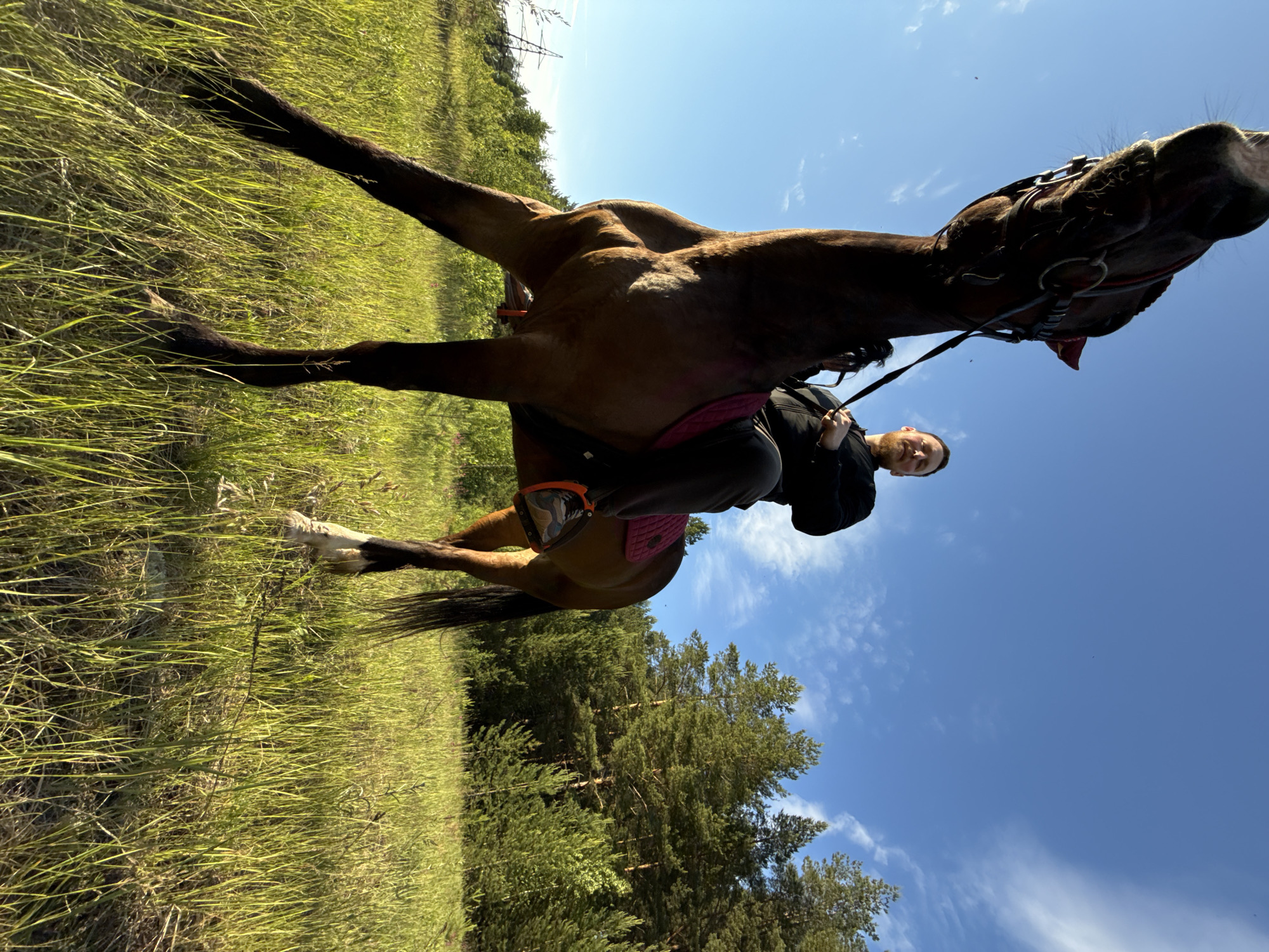 A low-angle, wide shot captures a man riding a brown horse in a grassy field with a forest in the background. The man, with a beard and wearing a black jacket and pants, sits atop the horse, holding the reins. The horse's head is raised towards the camera, and its mouth is slightly open. The field is filled with tall green grass, and the sky above is a bright blue with scattered white clouds. In the distance, a line of pine trees forms a dense forest. A power line pylon is visible on the left side of the frame, suggesting the location might be on the outskirts of Chaikovsky, Russia, an area known for its industrial presence and surrounding natural landscapes. The sunlight casts a warm glow on the scene, indicating it is likely late afternoon or early evening.