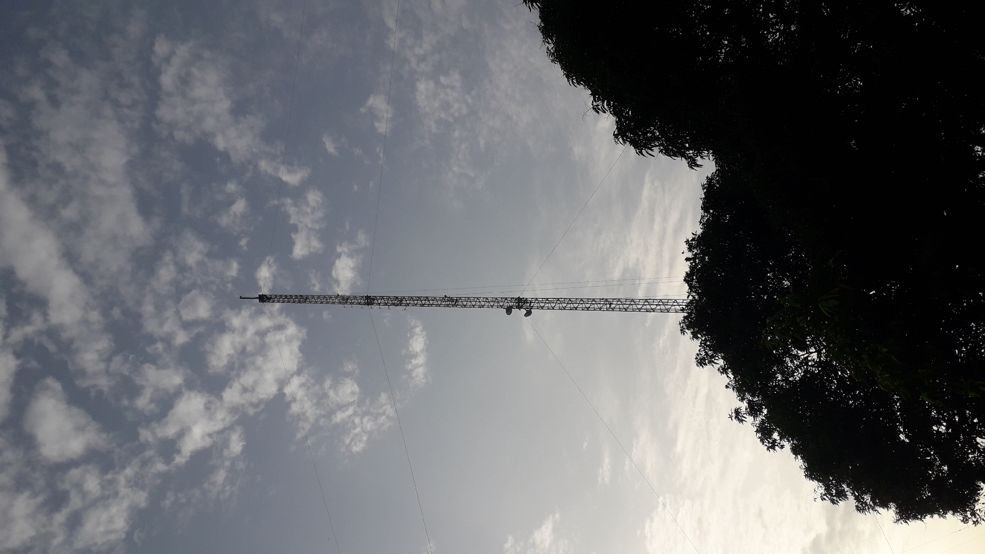 The image shows a tall, lattice-structured telecommunications tower against a cloudy sky. Part of a large tree, silhouetted due to backlighting, is visible on the right side of the frame. The tower's support cables are noticeable against the sky. The image was taken in Onitsha, Nigeria.