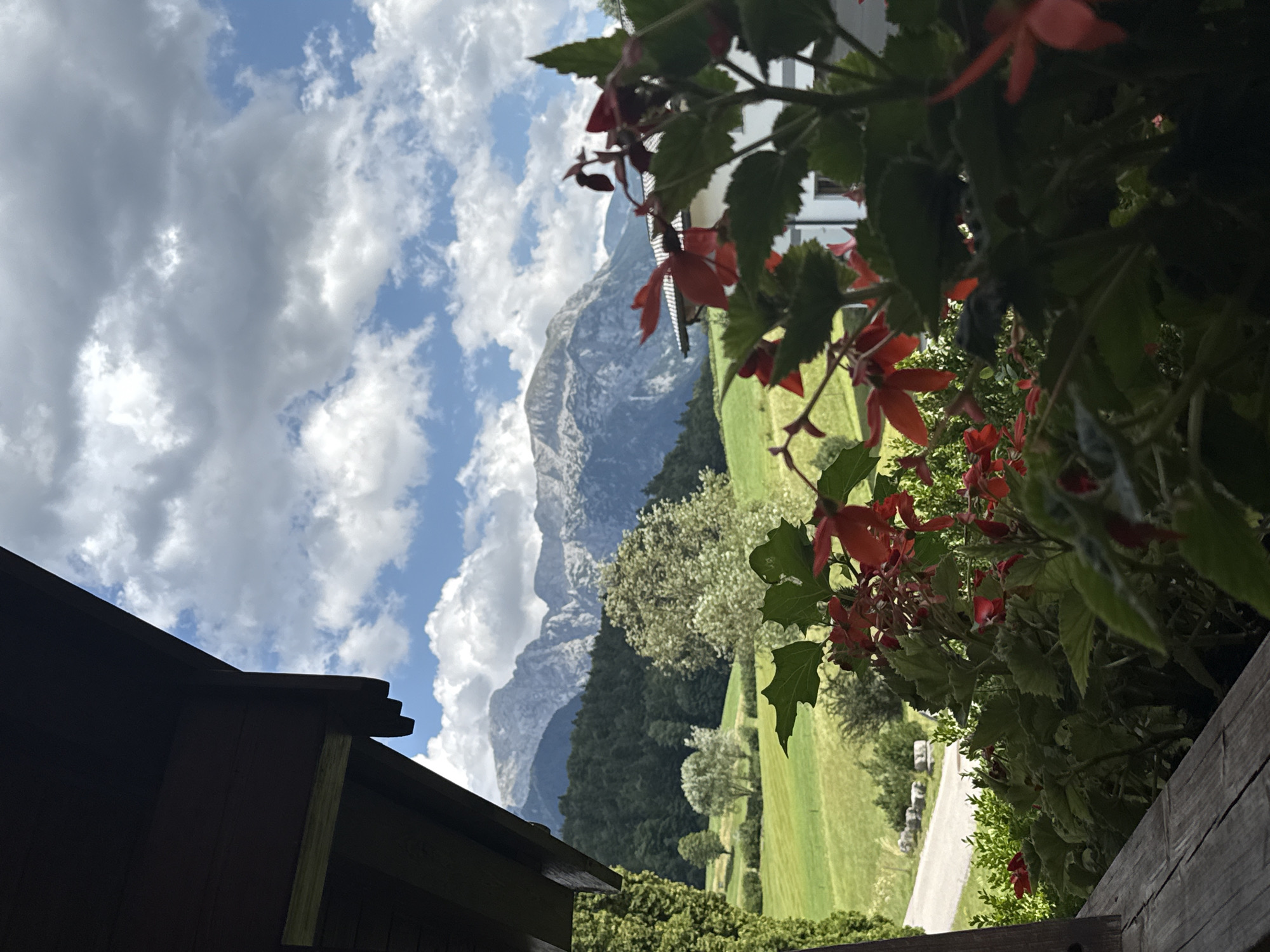 This image captures a scenic view from a balcony in Bischofswiesen, Germany. In the foreground, vibrant red flowers and lush green foliage frame the scene. Beyond the flowers, a pathway winds through a rolling green landscape dotted with trees. In the distance, imposing mountains rise majestically, their peaks partially obscured by fluffy white clouds against a bright blue sky. The wooden railing of the balcony is visible in the lower portion of the frame, suggesting an elevated vantage point. The overall atmosphere is tranquil and picturesque, indicative of a rural or mountainous setting.