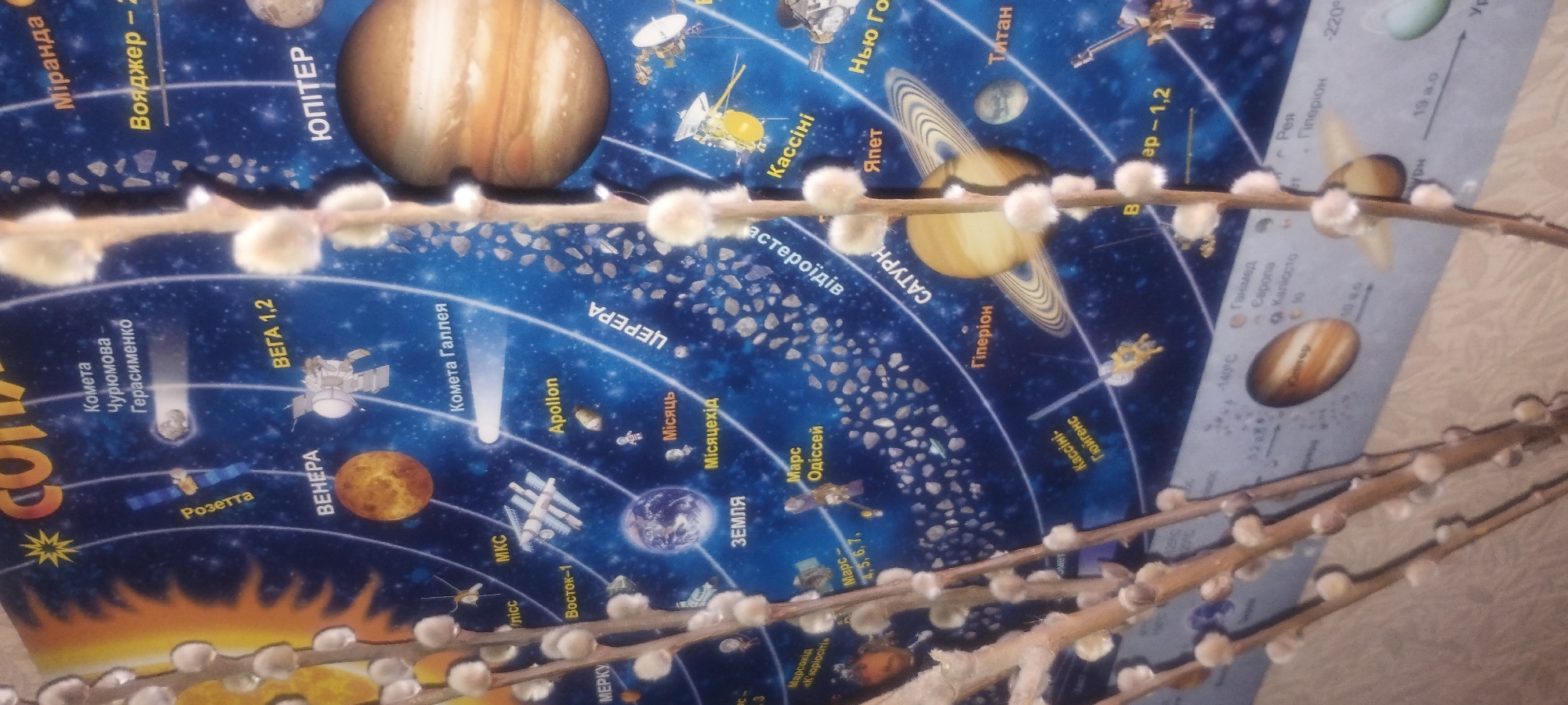 The image shows a close-up of a poster depicting the solar system, with planets, moons, comets, and spacecraft illustrated. The poster is blue with white lines indicating orbits. Several branches with catkins are in the foreground, partially obscuring the poster. The branches are brown with fluffy white buds. The lighting suggests an indoor setting, likely a home or classroom. The poster appears to be in Ukrainian, with labels such as "ЗЕМЛЯ" (Earth), "МАРС" (Mars), "ЮПІТЕР" (Jupiter), and "САТУРН" (Saturn). There is no indication of the specific location within Zaporizhzhia, Ukraine, beyond it being a general indoor scene.