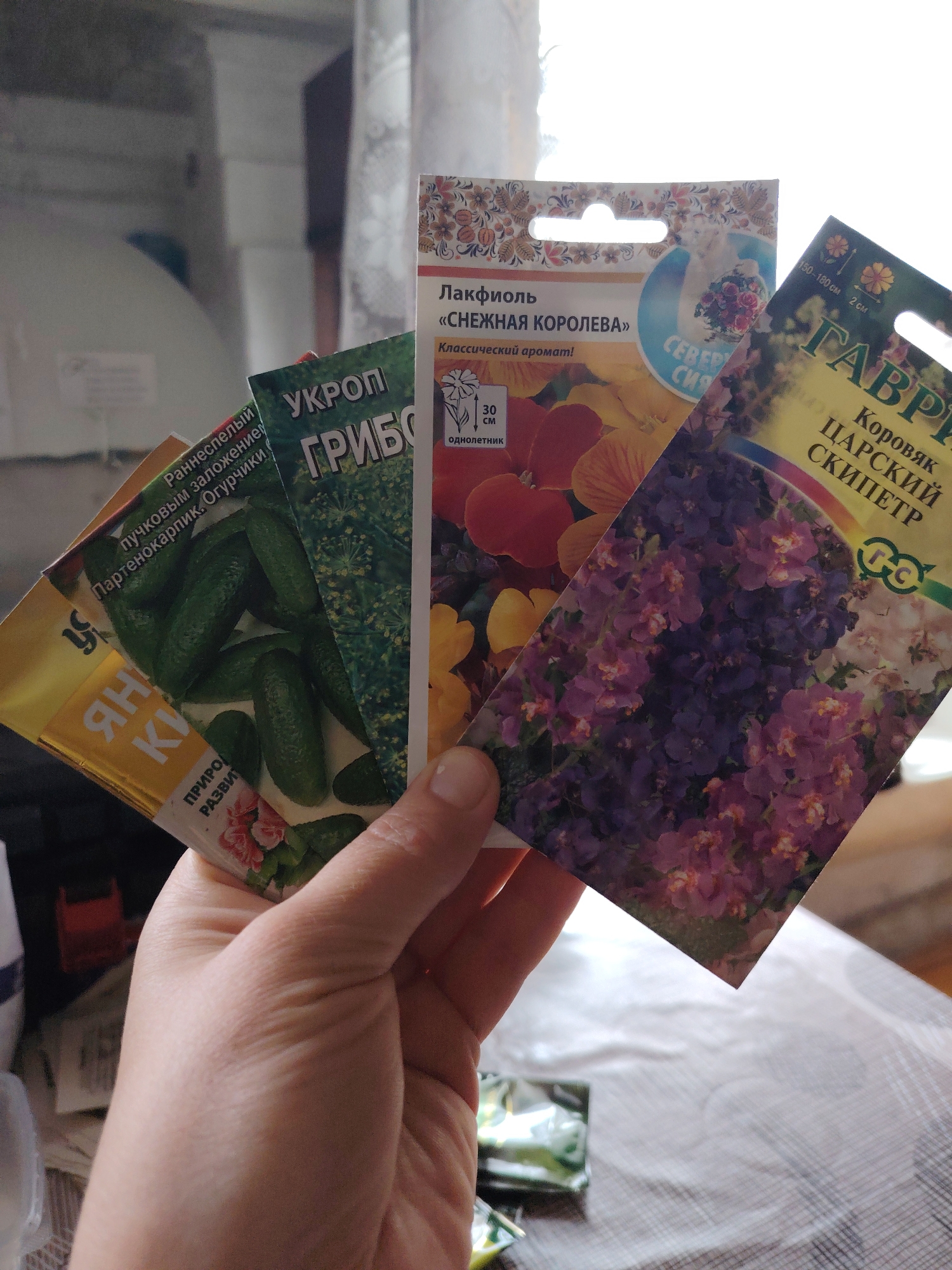 Here is a detailed description of the image:
**Scene:**
The image depicts a hand holding four seed packets. The packets are held against a blurred background, suggesting an indoor setting. The background appears to be a domestic interior, possibly a kitchen or living area. The presence of seed packets hints at gardening or agricultural activity.
**Seed Packets:**
The seed packets vary in size, color, and plant type, each having Russian text on the front. From left to right, the images on the packets include:
1. Cucumbers: "Раннеспелый пучковым заложение Партенокарпик. Огурчики," suggesting a packet of cucumber seeds.
2. Dill: "УКРОП Грибо," indicating dill seeds.
3. Flowers: "Лакфиоль «СНЕЖНАЯ КОРОЛЕВА» Классический аромат! CEBER СИЯ", showing orange and purple flowers, indicating flower seeds.
4. Flowers: "ГАВРИ Коровик ЦАРСКИЙ СКИПЕТР 150-180 см 2 см," depicting purple flowers, also a seed packet for flowers.
**Hand:**
The hand holding the seed packets is fair-skinned.
**Location:**
The packages are marked with Russian text, indicating it is most likely in a Russian-speaking country. Based on the seed packages, it is most likely in the city of Chaikovsky, Russia.