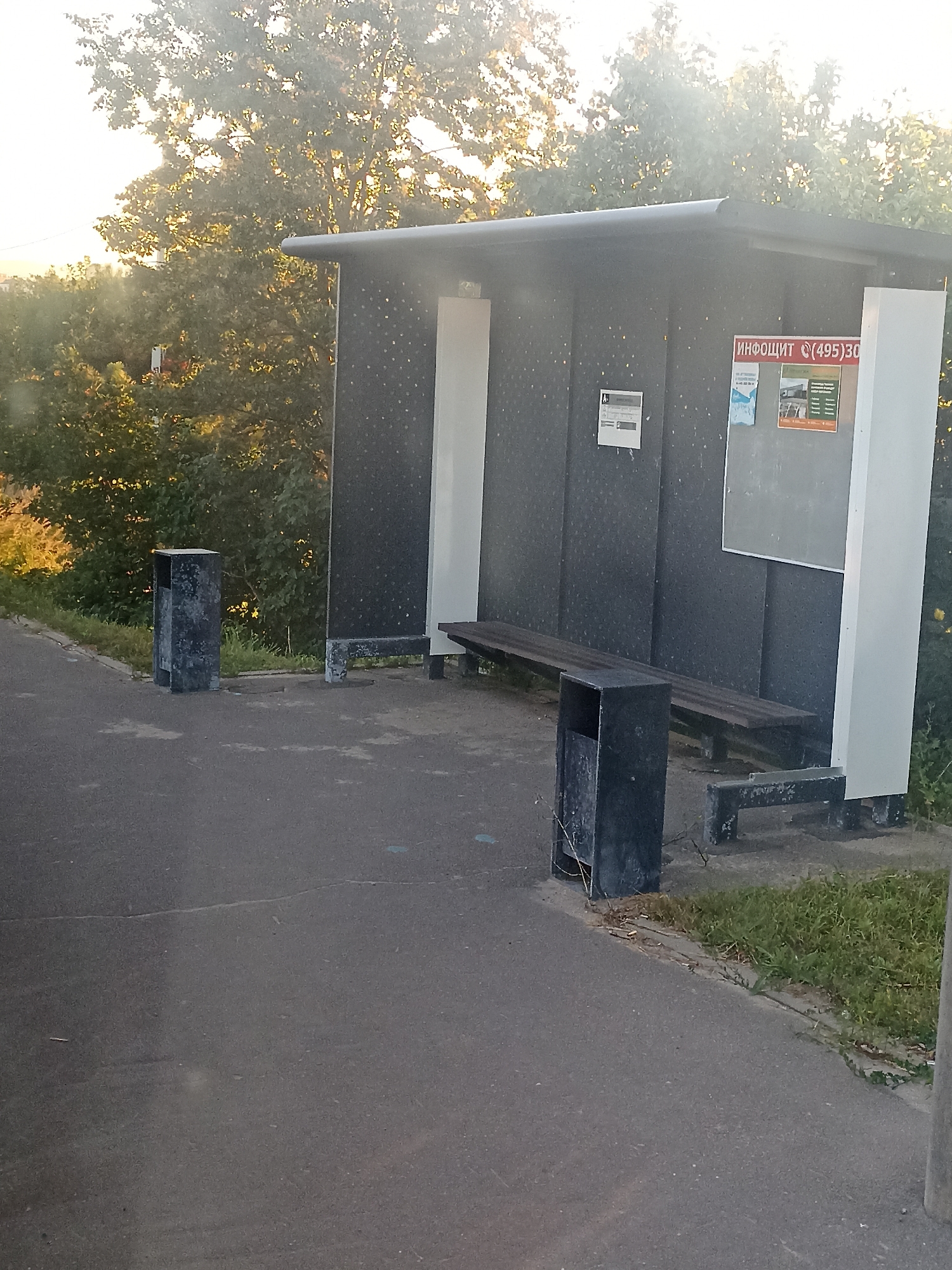 This is a medium-angle, eye-level, outdoor shot of a bus stop in Chekhov, Russia, on a sunny day. The bus stop shelter is constructed with dark grey, speckled panels and has a white vertical support on the right. A wooden bench is situated inside the shelter, with a dark grey trash can to its left and another one to its right. On the back wall of the shelter, a bulletin board displays several posters, including one with Russian text that reads "ИНФОЩИТ (495)30". To the left of the shelter, a paved walkway runs alongside a grassy area with trees in the background. The sun is shining brightly, creating lens flare in the upper portion of the image and casting light on the trees.