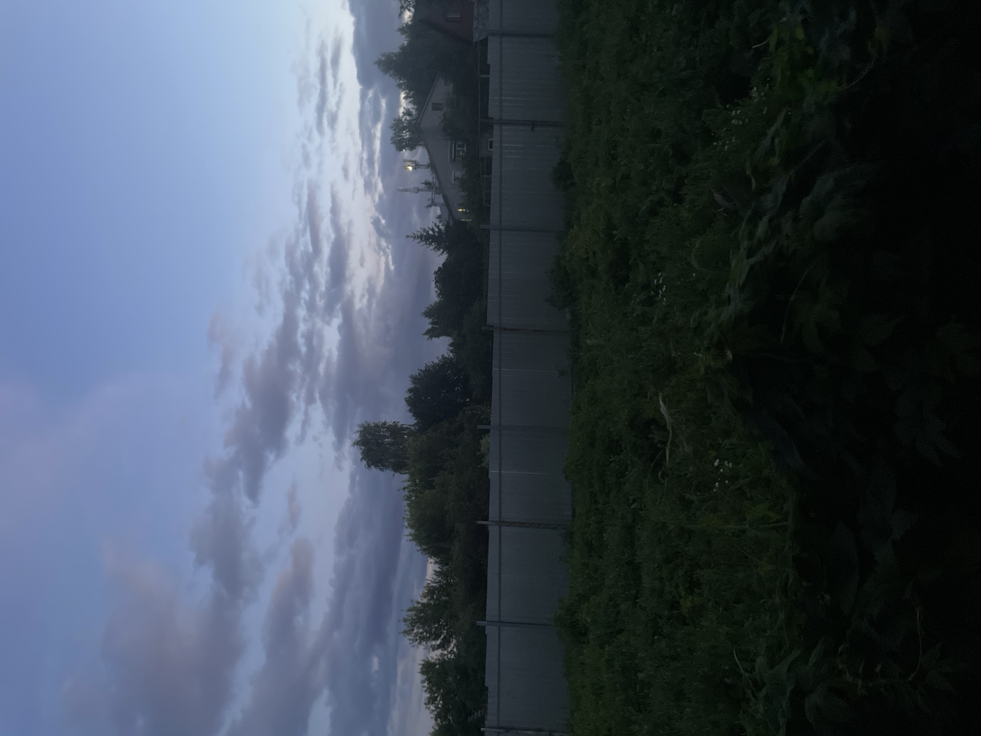 The image depicts an outdoor scene at dusk, likely in Laishevo, Russia, characterized by a twilight sky with scattered clouds. In the foreground, dense green vegetation covers the ground. A grey metal fence stretches horizontally across the midground, separating the vegetation from a line of trees and buildings behind it. The trees appear lush and dark, indicating foliage. Some of the buildings are partially visible through the trees, one of which has lights on and appears to be a residential structure with antennas on the roof. The overall impression is a quiet, possibly rural or suburban setting as daylight fades. There are no people or animals visible in the image.